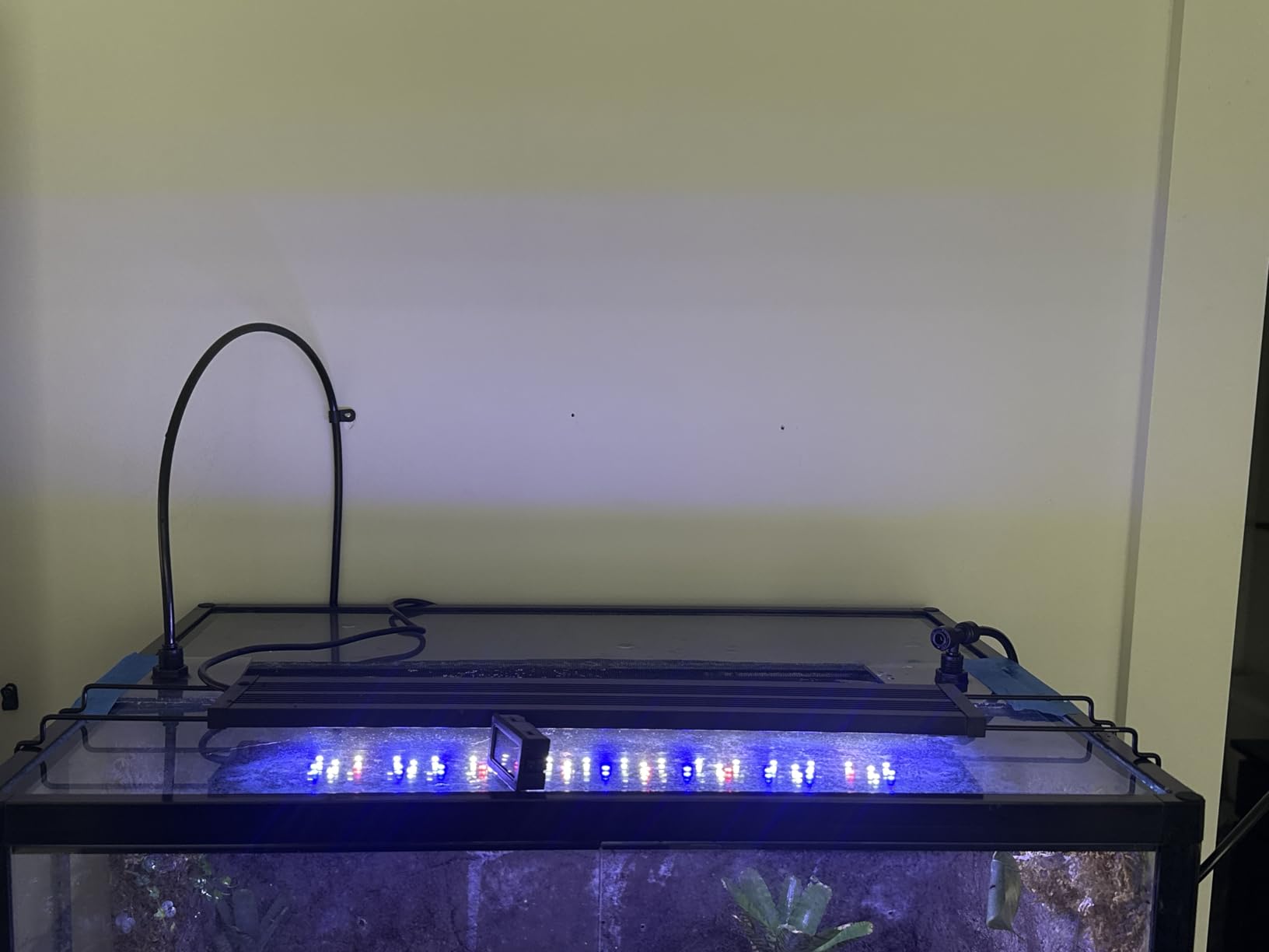 MistKing Starter Misting System, 5th Gen customer photo 2