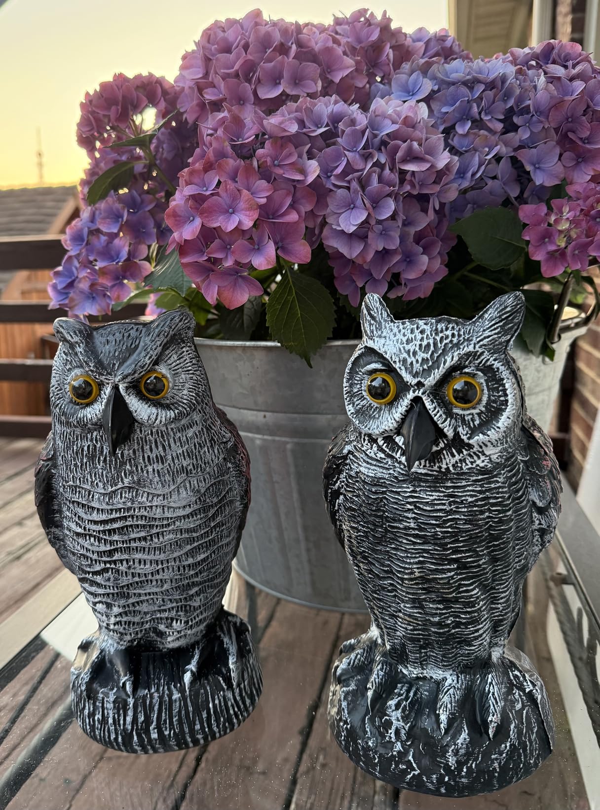 2 Pack Fake Horned Owl Bird Scarecrow Decoy 10.5 Inch Height, Plastic Deterrents, Halloween Decoration, Nature Enemy Pest Repellent for Outdoor Garden Yard customer photo 1