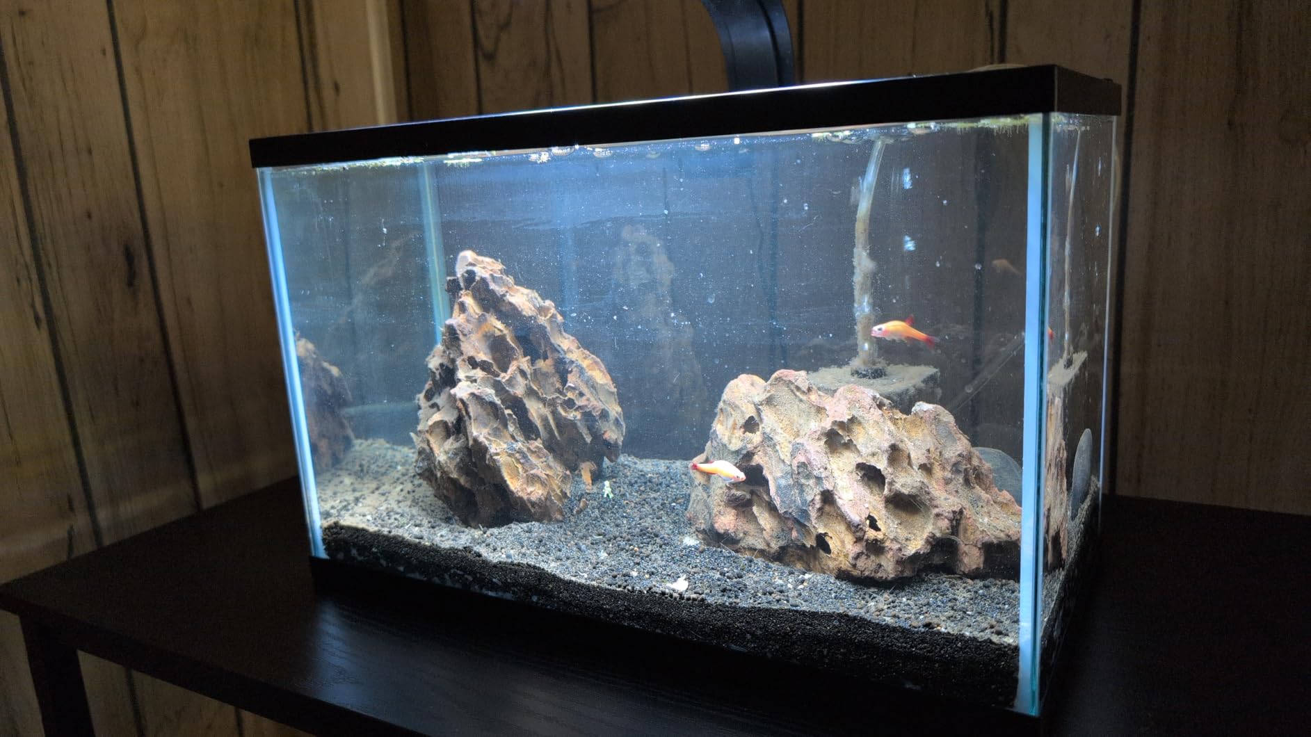 Tetra Glass Aquarium 29 Gallons, Rectangular Fish Tank customer photo 1