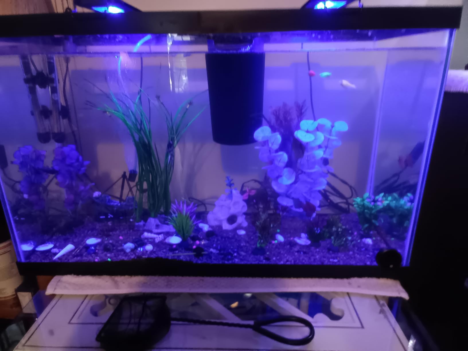 Tetra Glass Aquarium 29 Gallons, Rectangular Fish Tank customer photo 2