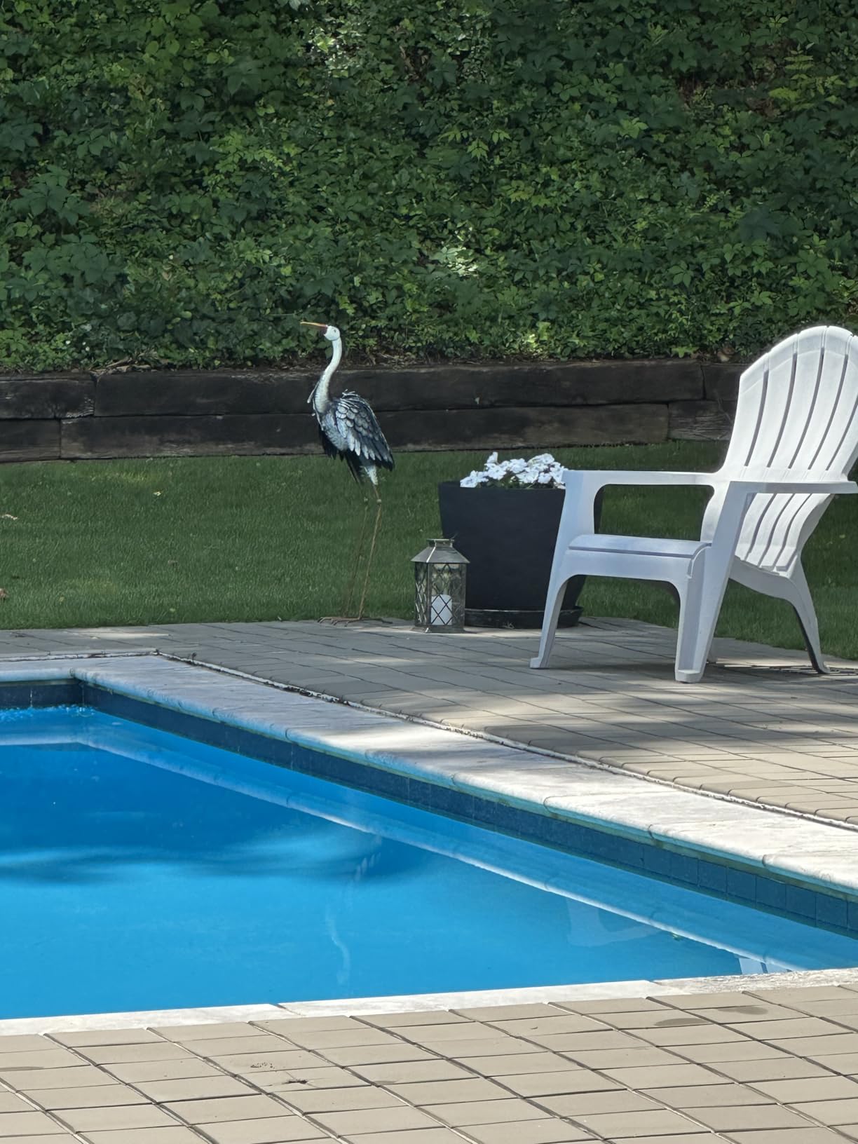 TERESA'S COLLECTIONS Garden Decor Blue Heron Sculptures & Statues Decor, 33.8 Inch Coastal Metal Cranes Decoy for Outdoor Outside Yard Art Patio Pond Pool Lawn Decorations, Housewarming Gift customer photo 1