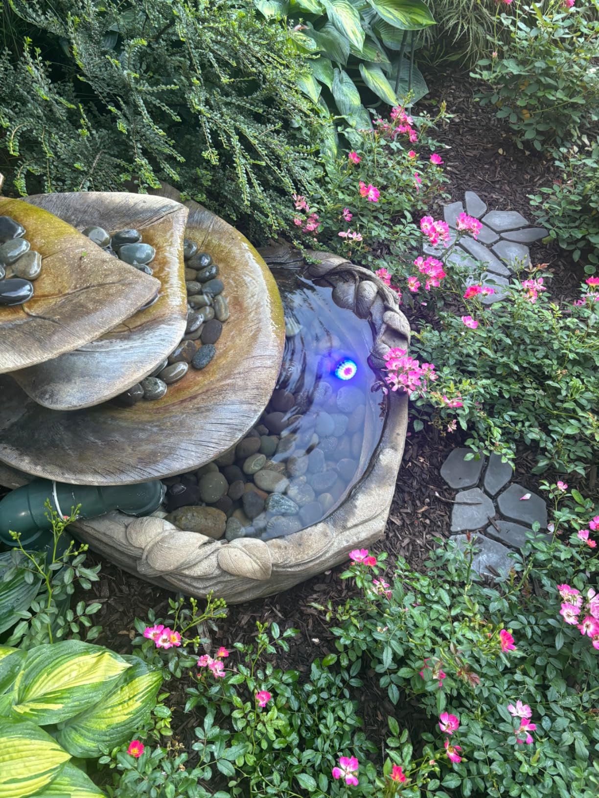 Pond Lights Underwater Fountain Light 3.5W Color Changing Submersible Spotlight with 36-LED Bulbs Underwater Light Waterproof IP68 Pool Light for Pond Aqaurium Garden Fish Tank customer photo 1
