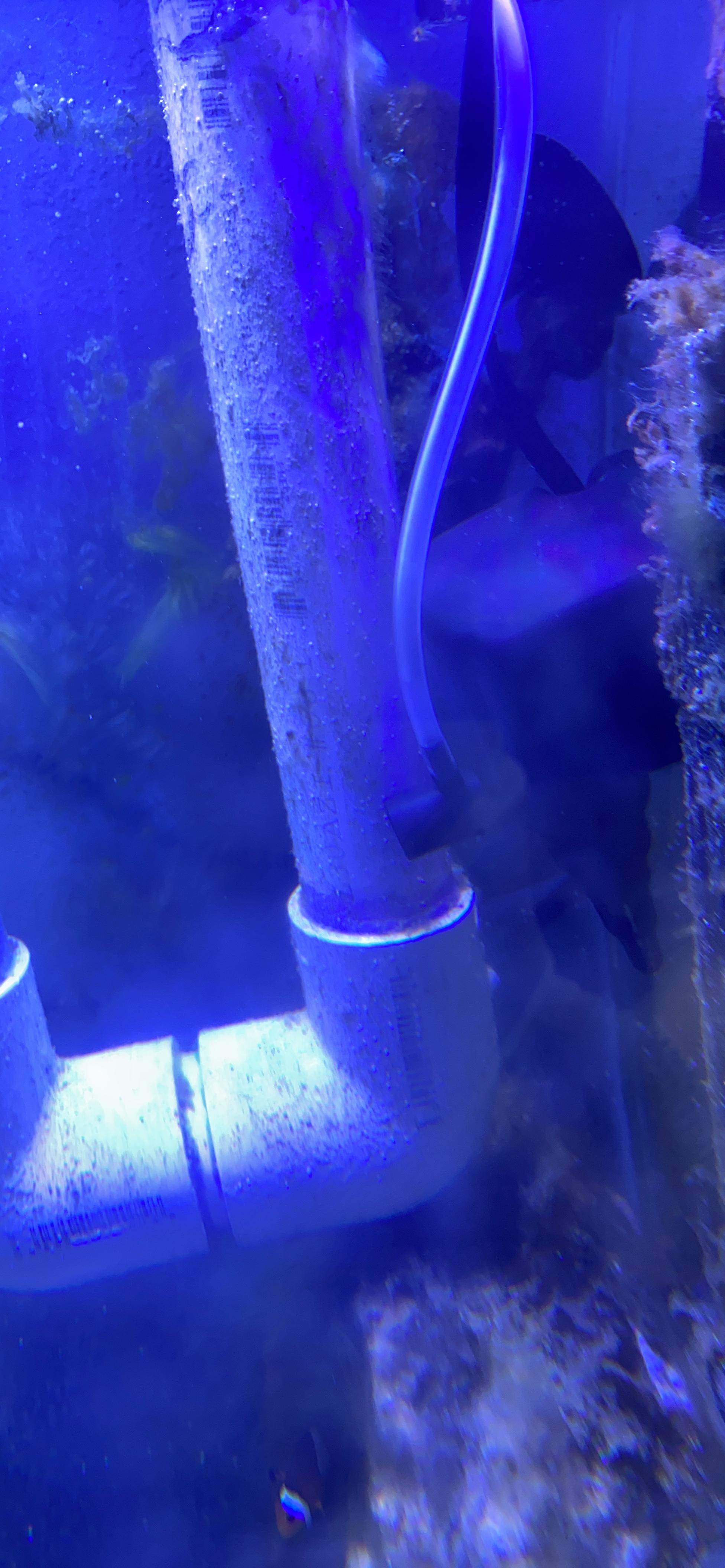 AquaMiracle Aquarium Powerhead Pump Circulating Water Pump 135 GPH for 10-40 Gallon Aquariums with Aerating Features customer photo 2