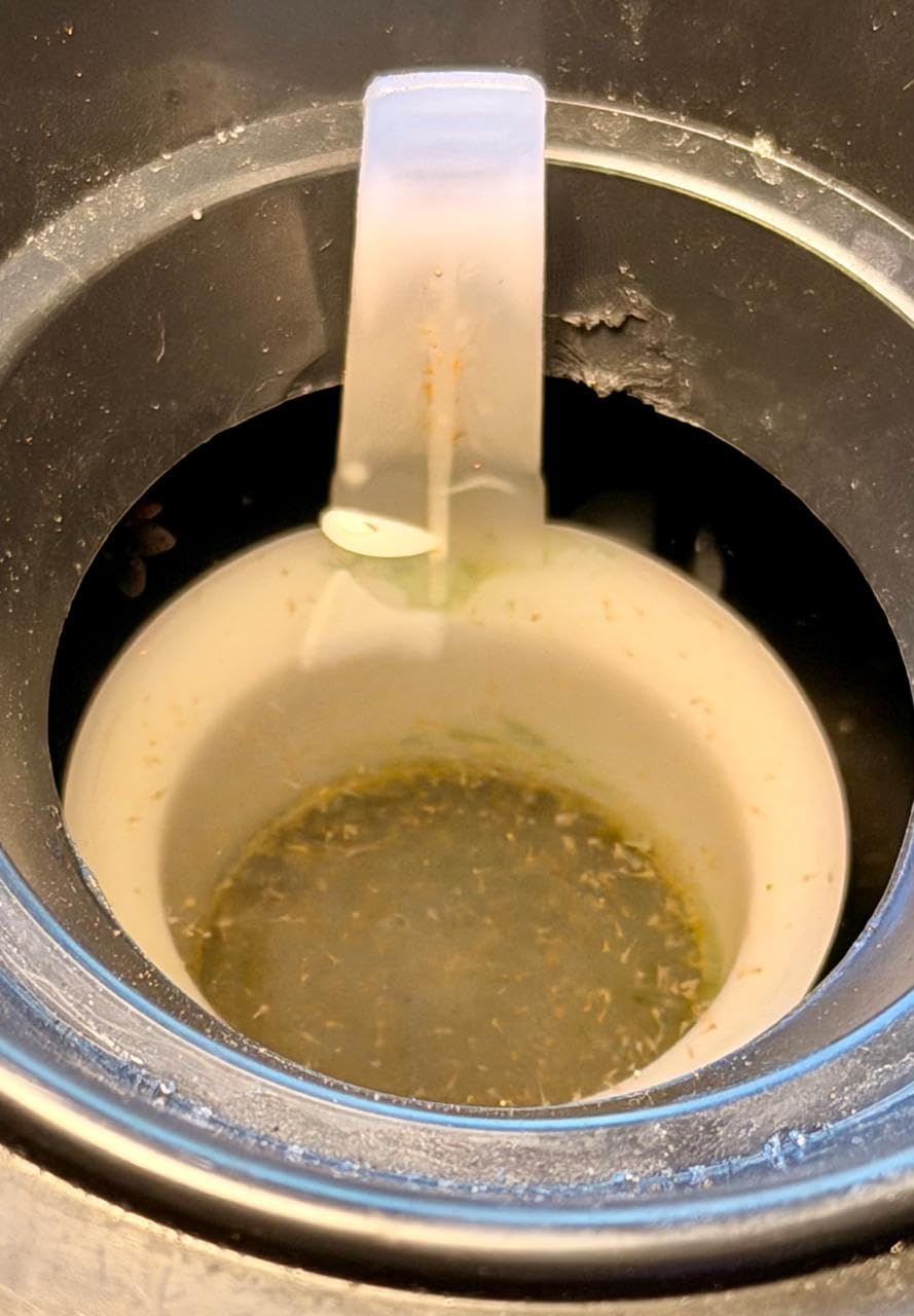 Brine Shrimp Hatchery Dish (Eggs sold separately.) customer photo 1