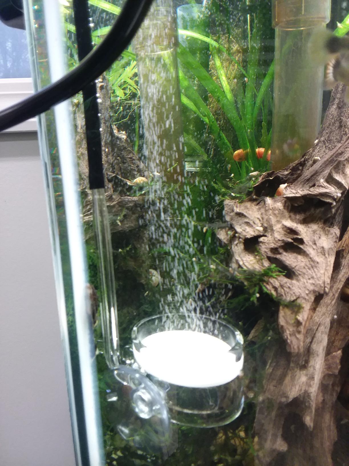 Pollen Glass CO2 Diffuser with U-Shape Connecting Tube for Aquarium Planted Tank (2