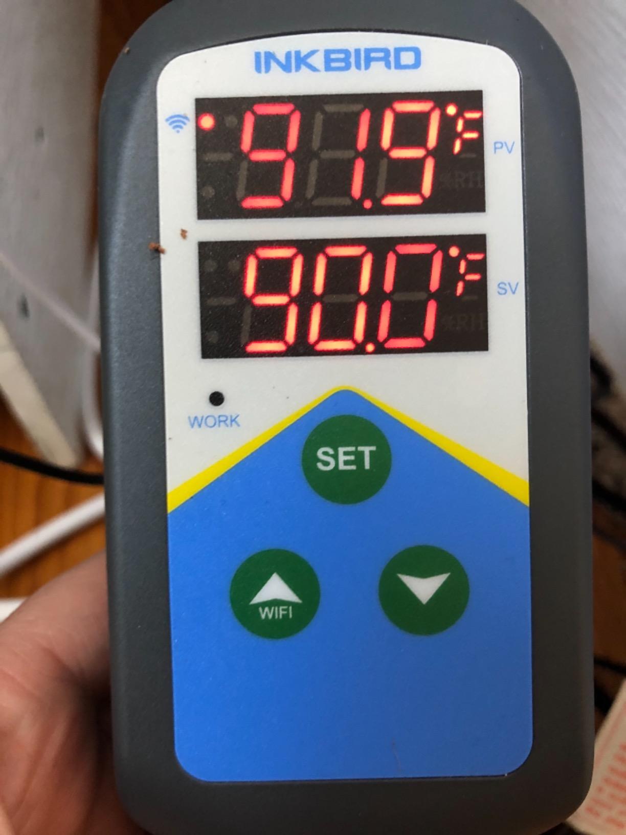 Inkbird Temperature Controller ITC-306T WiFi Heat Lamp Thermostat Reptile Temperature Controlled Outlet for Heat Mat Fermentation,1200W,10A customer photo 2