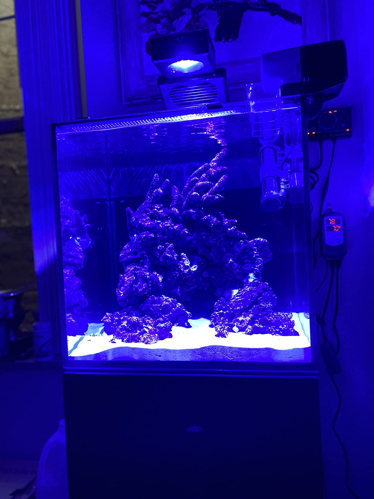 Fritz Aquatics Complete Water Conditioner/Dechlorinator for Fresh & Salt Water Aquariums (2-Ounce) customer photo 2