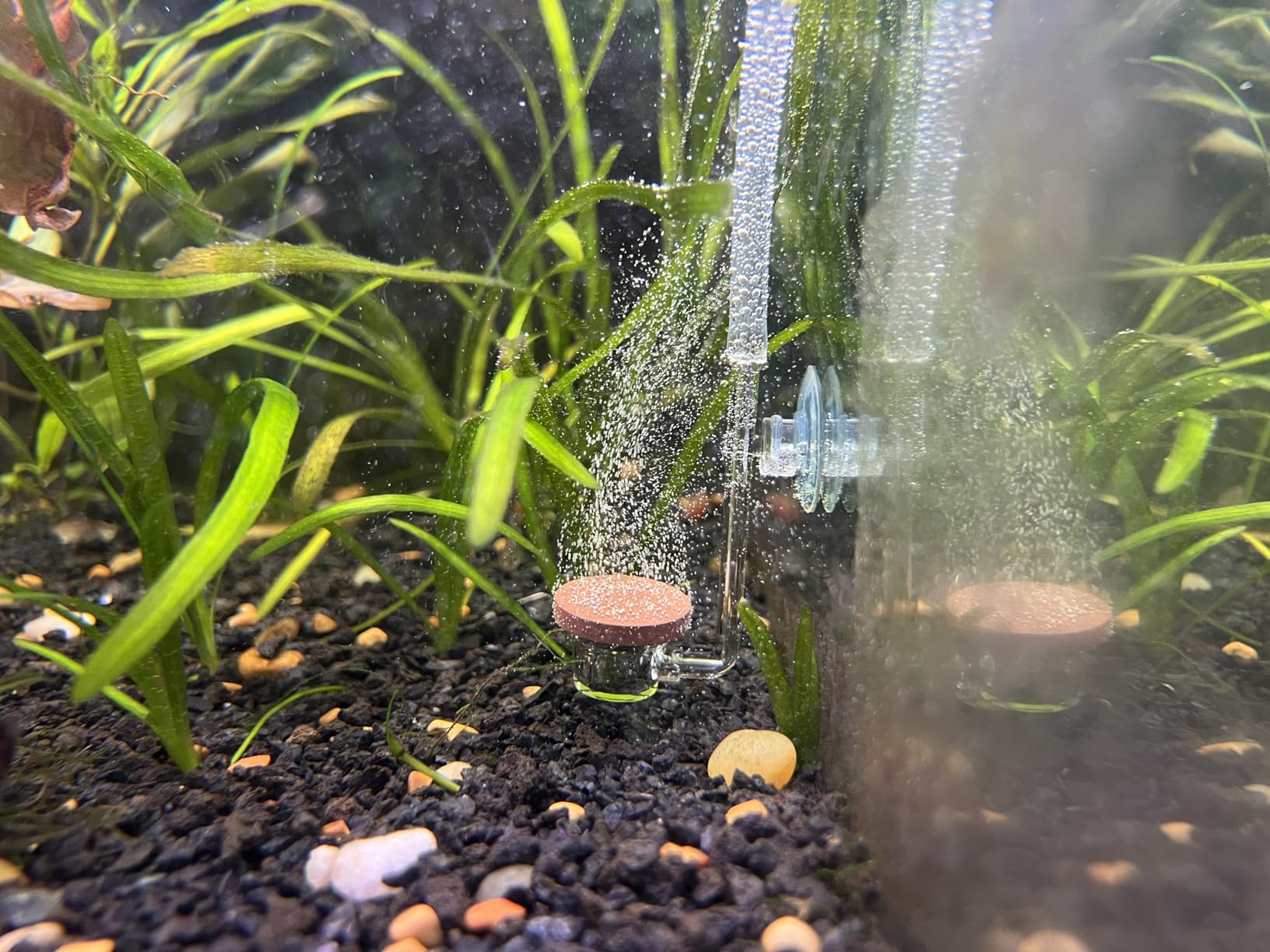 TWINSTAR CO2 Diffuser | Freshwater Aquariums up to 120 gallons | Ultra Clear Acrylic - Made in South Korea | Extremely Fine Pearls | More Porous Membrane (M-19mm) customer photo 1