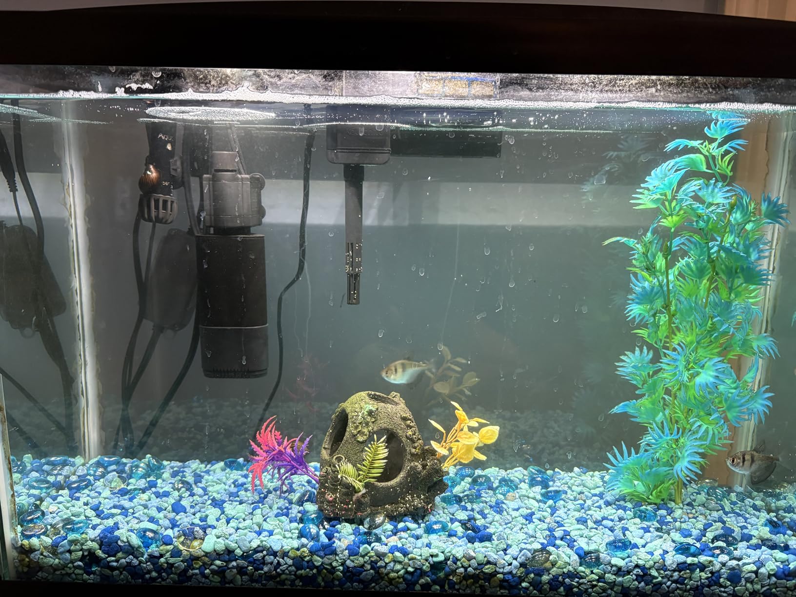 AA GKM3W Mini Internal UV for Aquariums customer photo 1