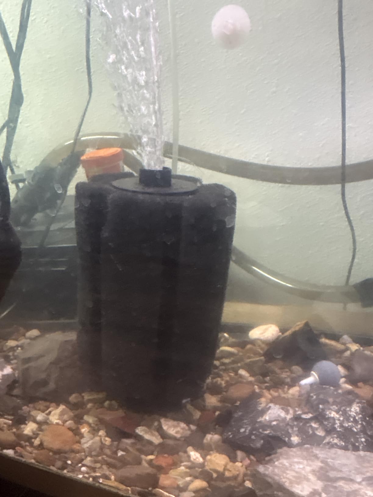Pawfly Aquarium Large Bio Sponge Filter Quiet Betta Fry Shrimp and Small Fish Foam Filter for Fish Tank up to 60 Gallon customer photo 1