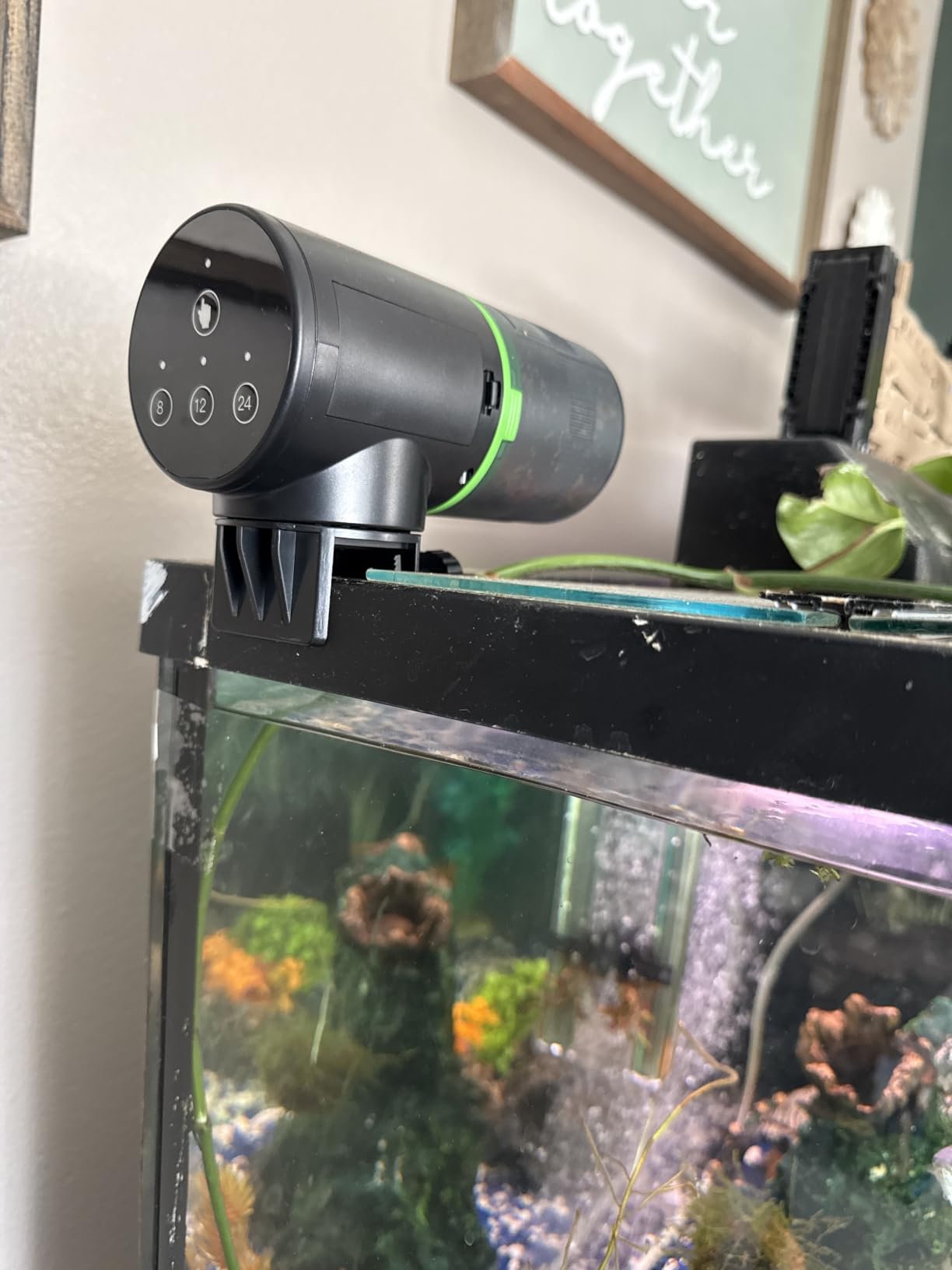 Freesea Automatic Fish Feeder for Aquarium: 3 Timers & One-Touch Easy Setup - 7-14 Day Supply with 200ML Food Dispenser - Worry-Free Vacation Feeding for Betta Turtle Tank customer photo 1