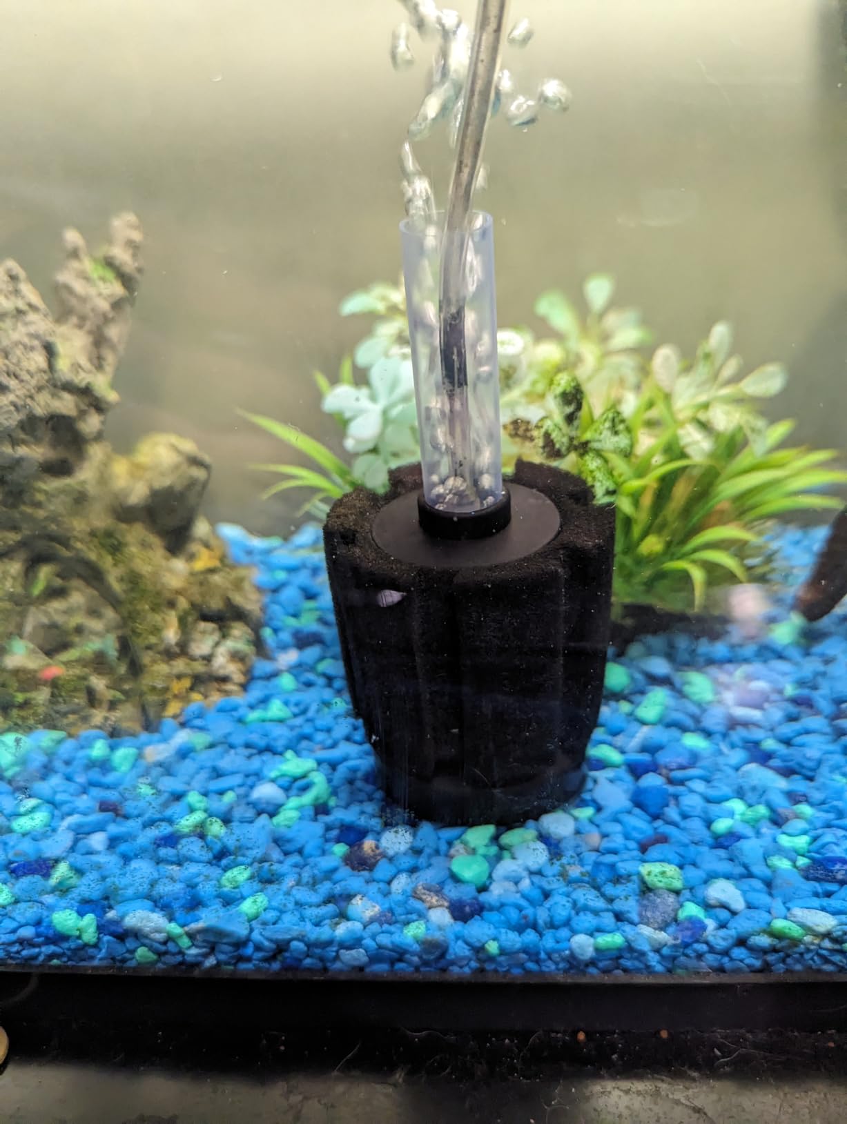Pawfly 3 Pack Aquarium Sponge Filter Quiet Betta Fry Shrimp and Small Fish Foam Filter for Tiny Fish Tank up to 10 Gallon customer photo 2