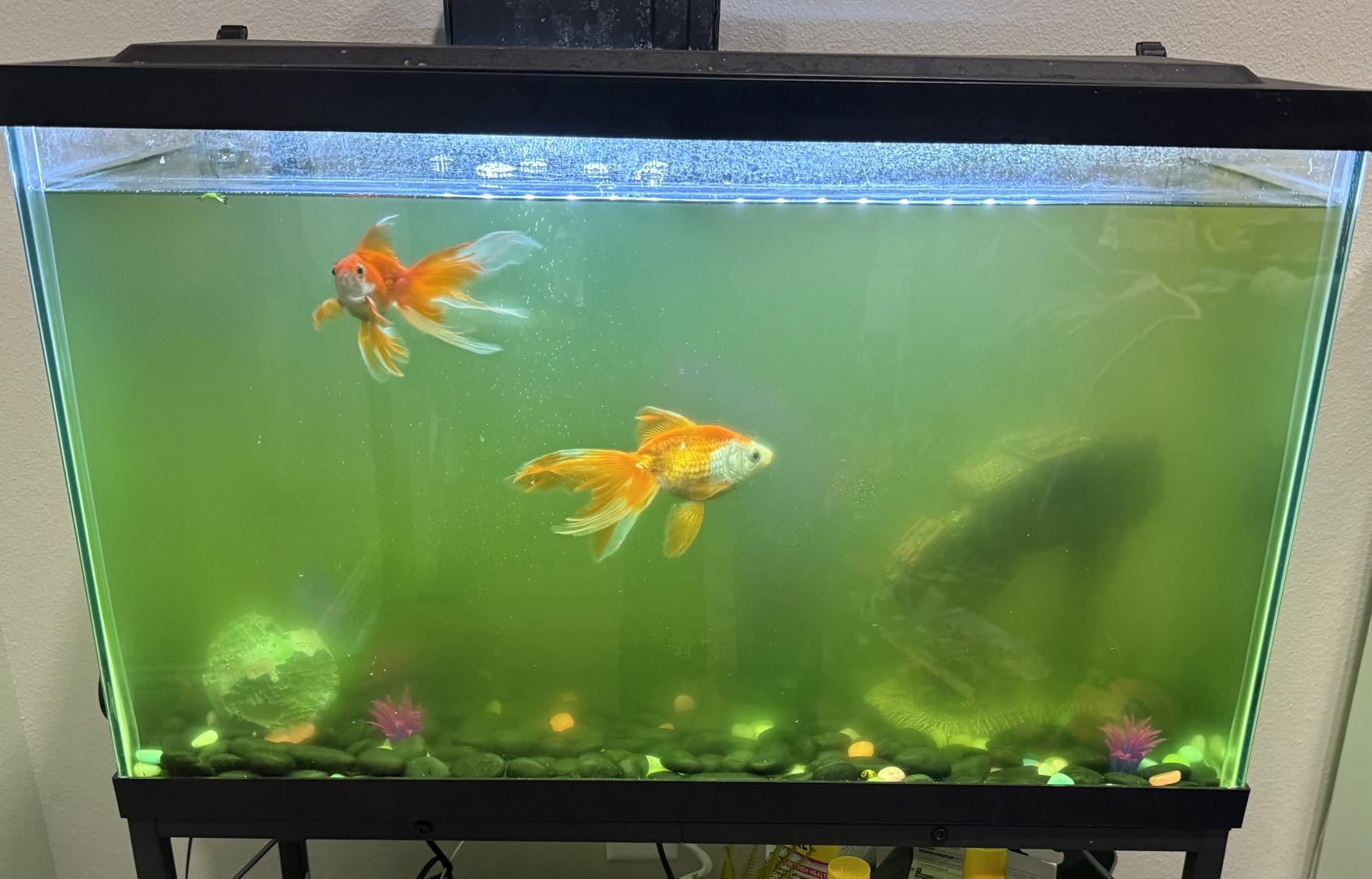AA GKM9W Internal UV for Aquariums up to 50 Gallons customer photo 1