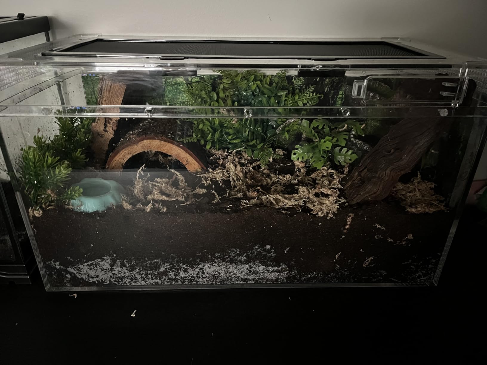 Reptile Growth Reptile Terrarium, 10 Gallon Reptile Tank 20
