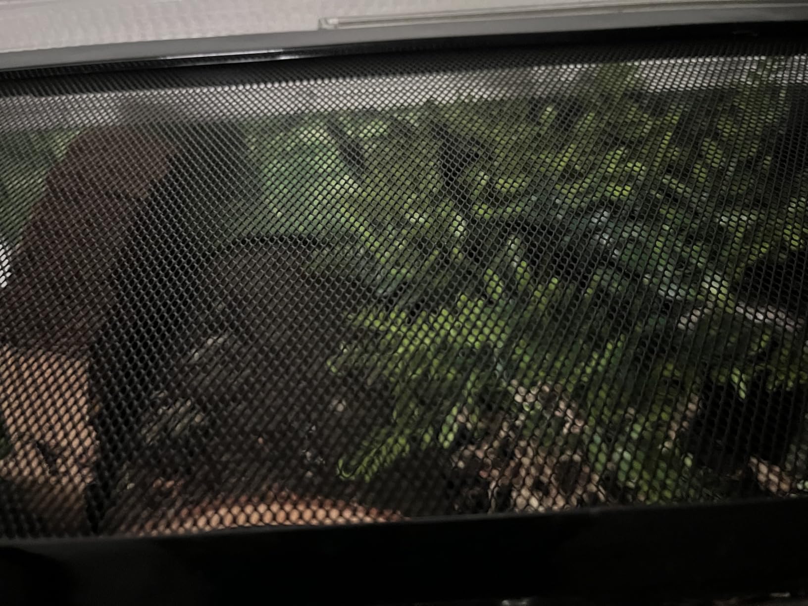 Reptile Growth Reptile Terrarium, 10 Gallon Reptile Tank 20