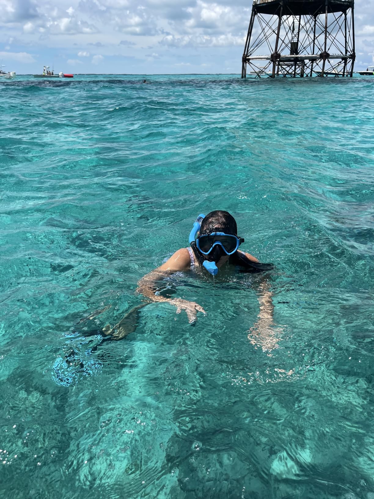 Ubekezele Snorkeling Gear for Adults Men Women,4 in 1 Snorkel Set with Panoramic View Diving Mask Anti-Fog Anti-Leak,Dry Top Snorkel,Fins and Travel Bag for Swimming,Snorkeling and Travel Diving customer photo 1