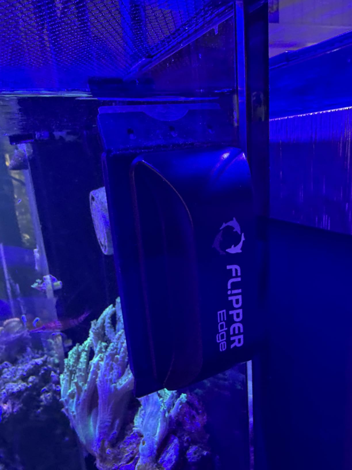 Flipper Edge 2-in-1 Scrubber Scraper Floating Magnetic Fish Tank Aquarium Cleaner with Dual Blades - Efficient Glass & Acrylic Aquarium Cleaning Tools (Standard) customer photo 2