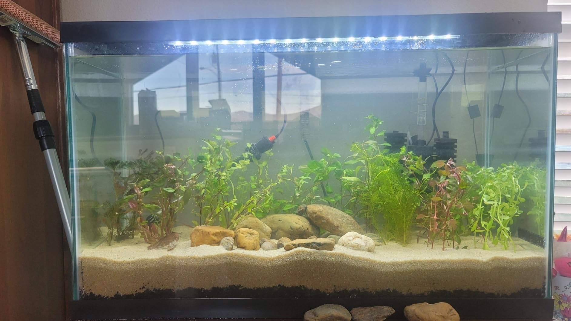 Tetra Complete LED Aquarium 55 Gallons, Includes LED Lighting, Filtration, Heater and Accessories customer photo 2