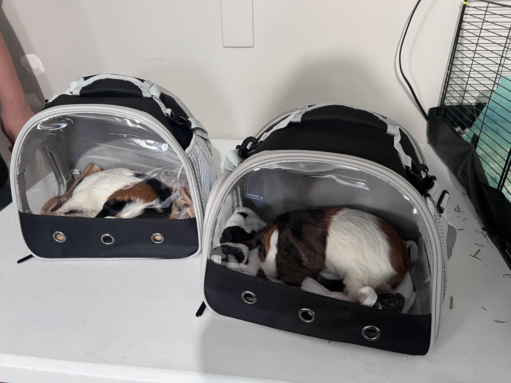 Bearded Dragon Travel Carrier, Lizards Carrier, Small Animal Travel Carrier for Sugar Glider Hedgehog Rat Parrot Bird Guinea Pig, Portable Guinea Pig Travel Bag for 2 customer photo 1