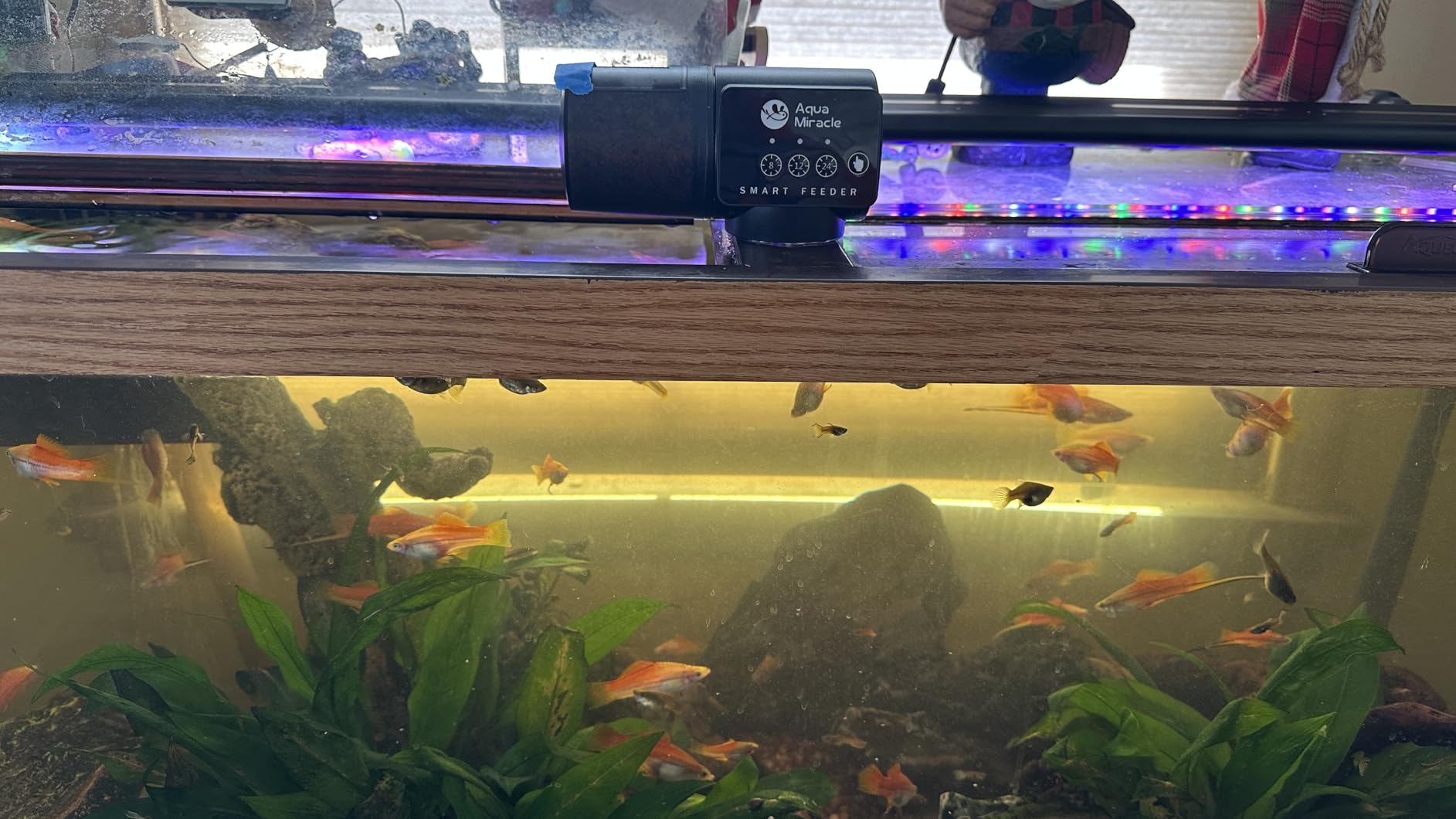 AquaMiracle Automatic Fish Feeder for Aquarium, Auto Fish Food Dispenser with Timer, Volume Adjustable Vacation Aquarium Feeder, for Granules Pallets Strips customer photo 1