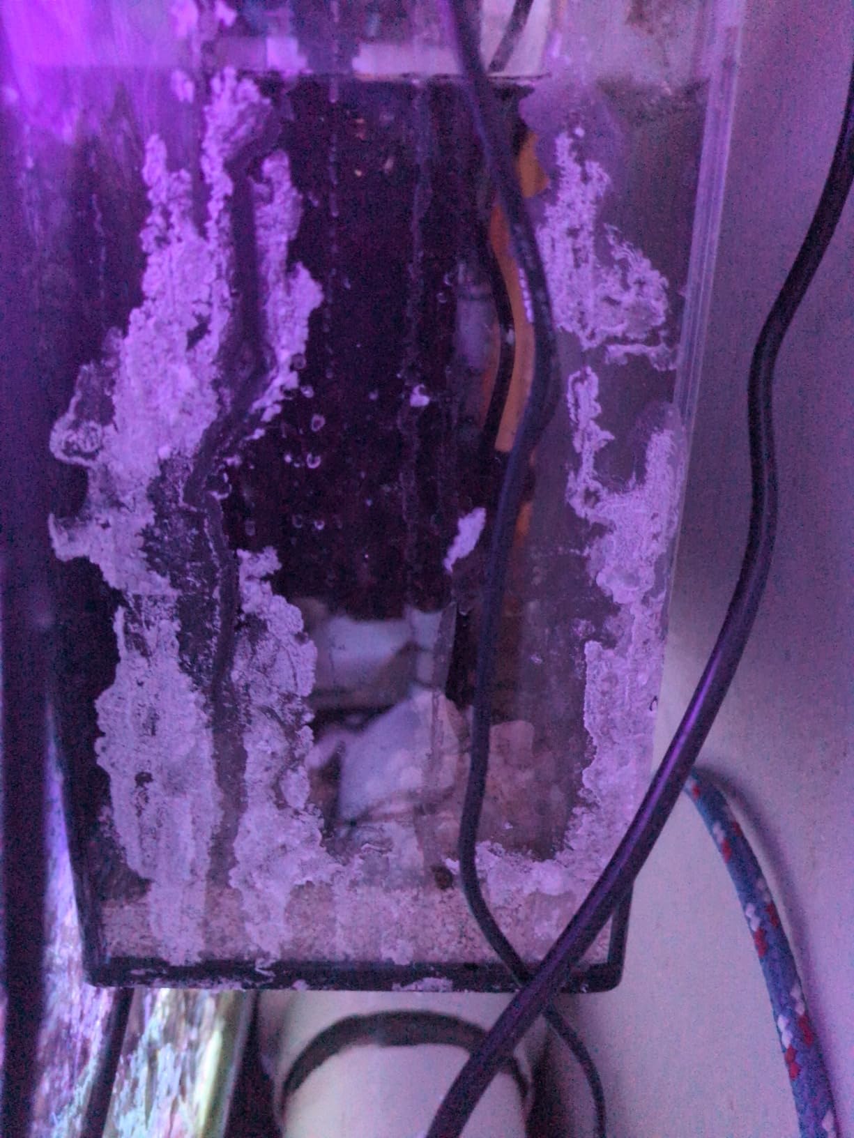 Hang On Back Refugium Pro (Medium) customer photo 1
