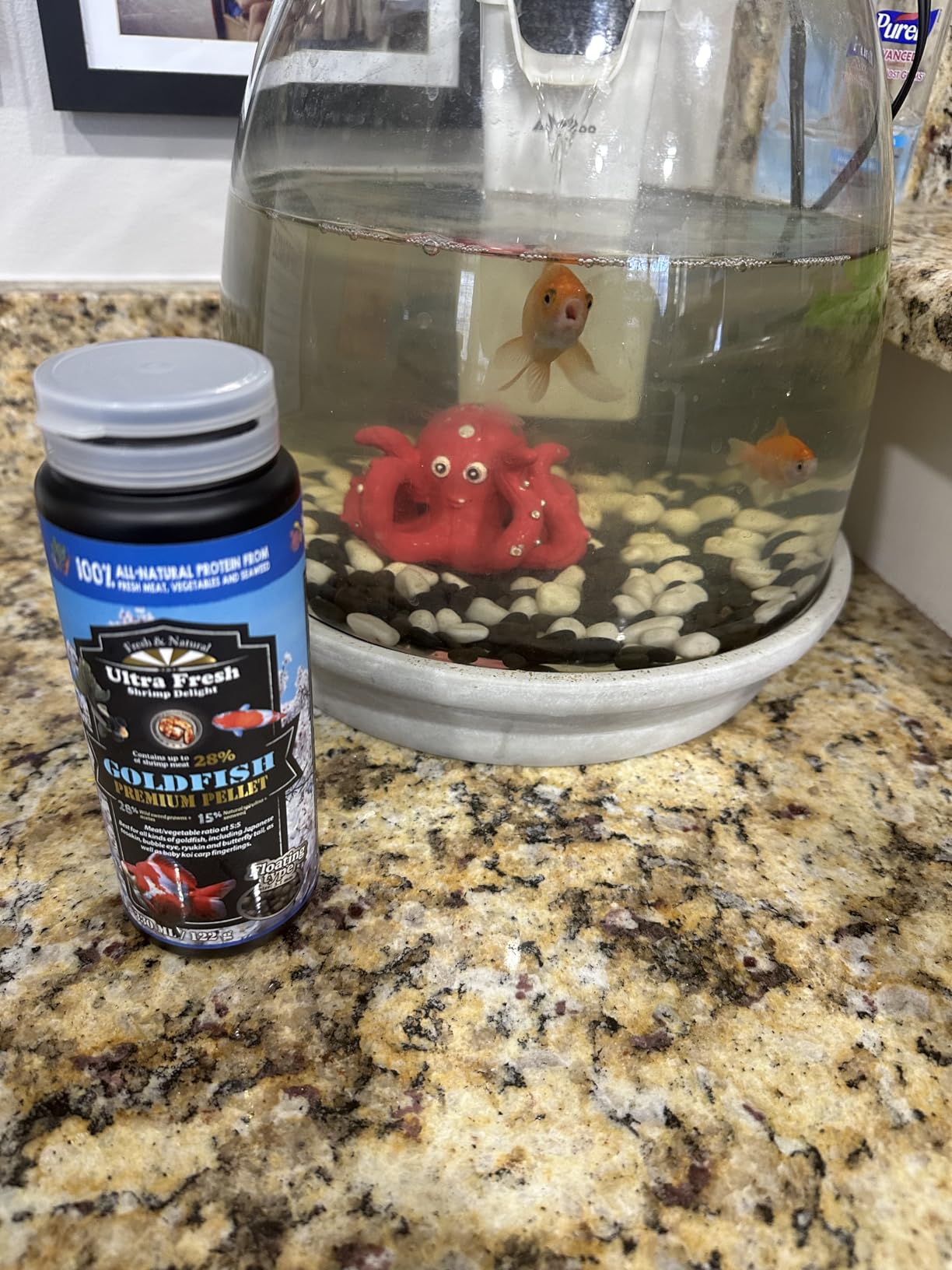 Ultra Fresh Floating Goldfish Food, Color Enhancing, Balanced Diet, All Natural Ingredients, Clear Water Formula, Goldfish Premium Pellet, 4.6 oz customer photo 2
