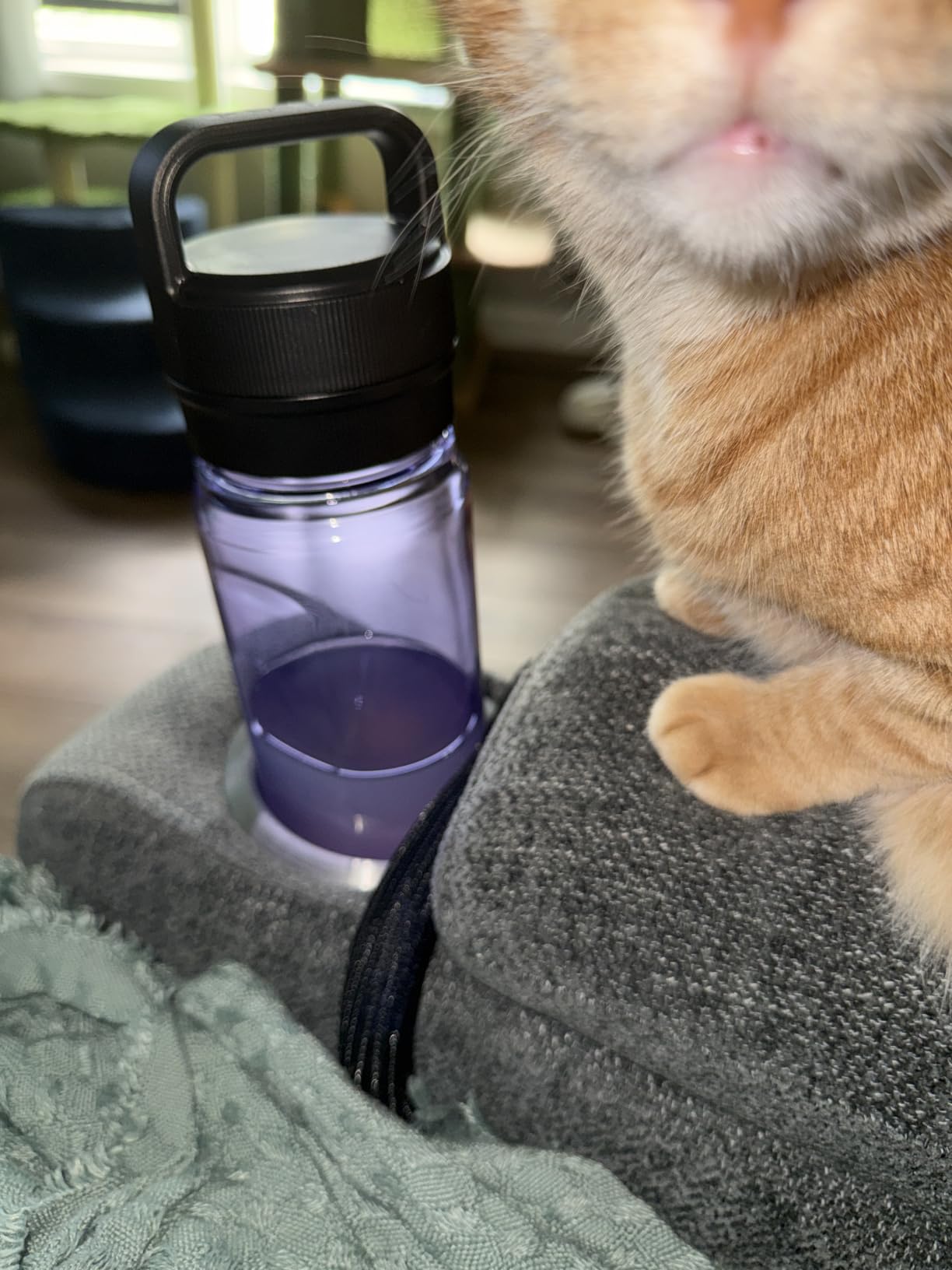 Yeti Yonder Water Bottle with Yonder Chug Cap, Lightweight, Leakproof and BPA-Free - Vacuum Insulated Stainless Steel, Ideal for Hiking and Outdoor Adventures customer photo 1