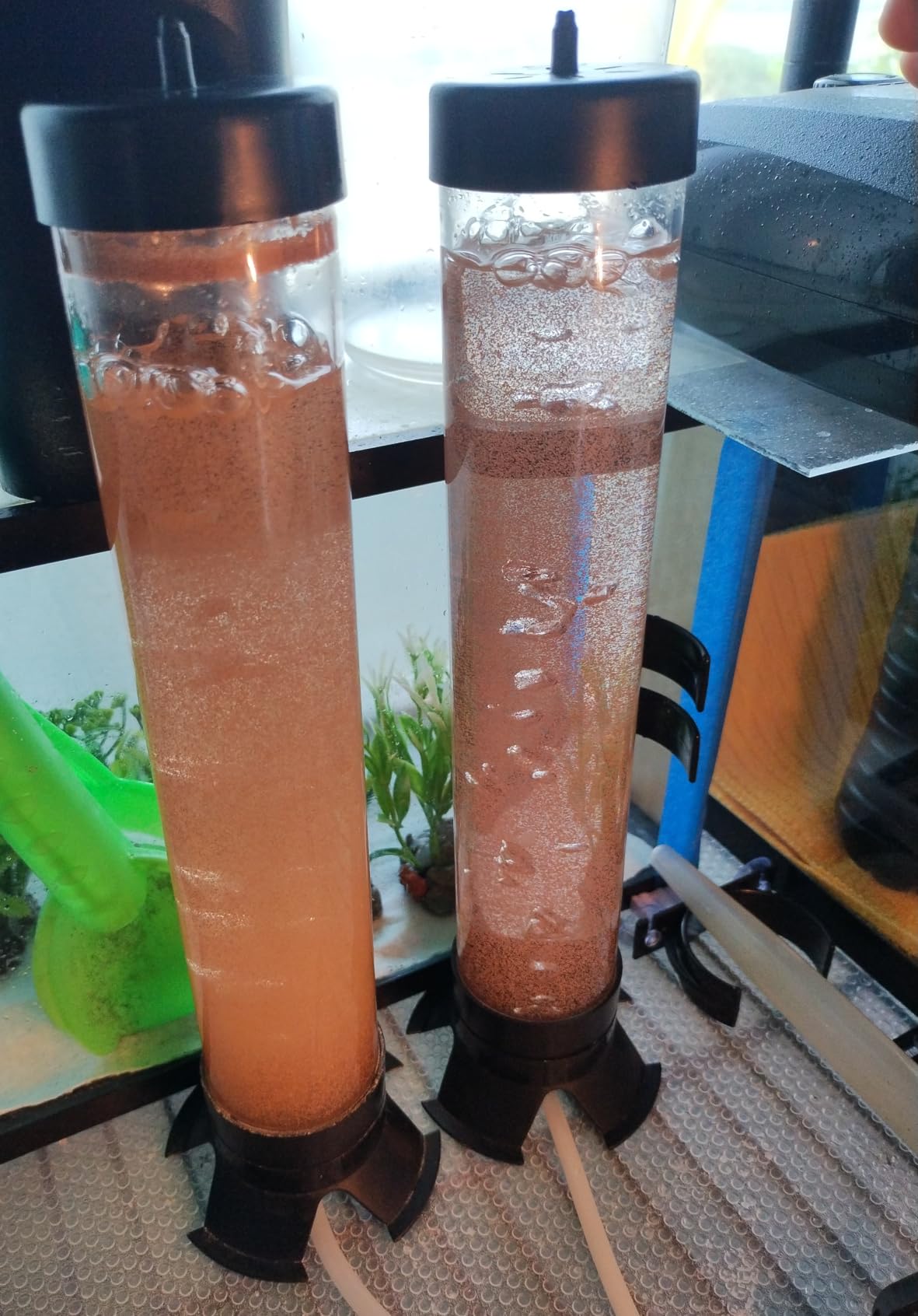 brine Shrimp Hatchery, brine Shrimp Eggs Incubator Kits, Multifunctional Artemia Hatchery with Air Pump, Live Brine Shrimp Net, Feeder, Storage and Large Clip (Set of 20pcs) customer photo 1