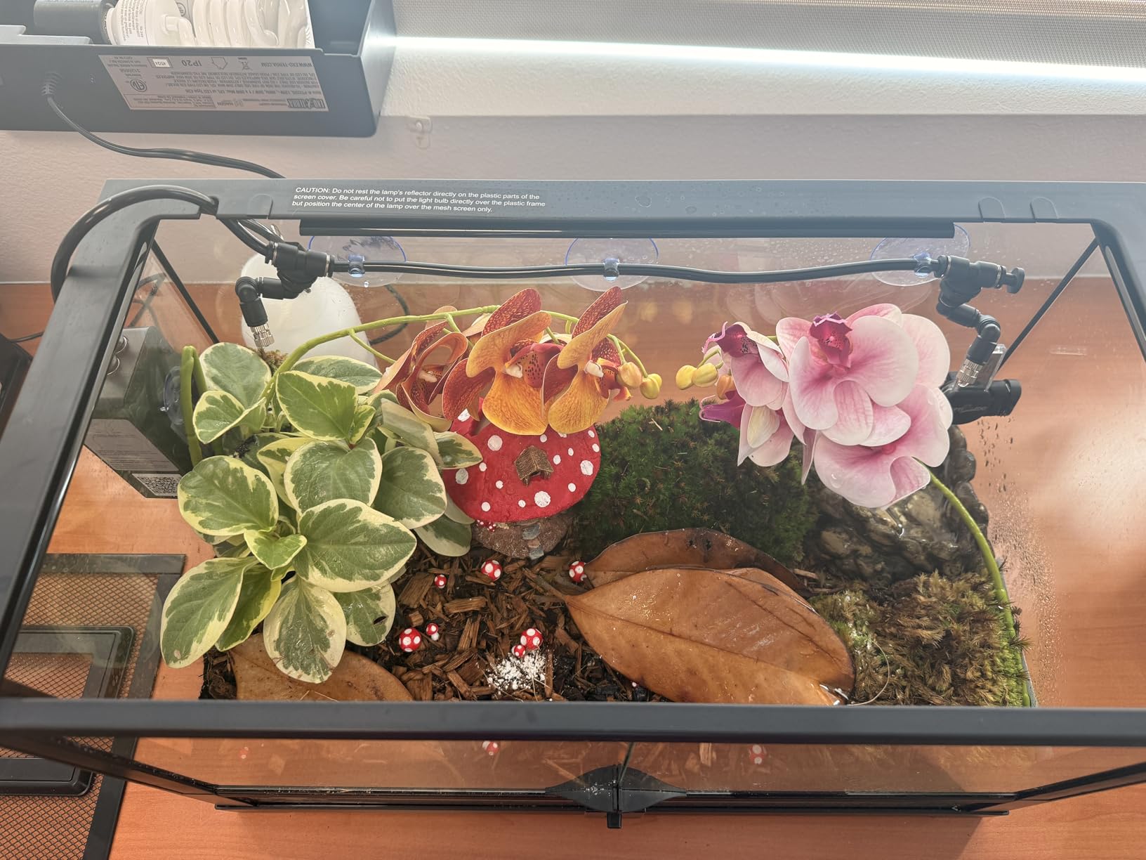 Moistenland WiFi Enabled Reptile Mister for Terrariums, Reptile Misting System for Snake Ball Python Tortoise Lizard Aquarium with 2 Adjustable Misting Nozzles customer photo 1