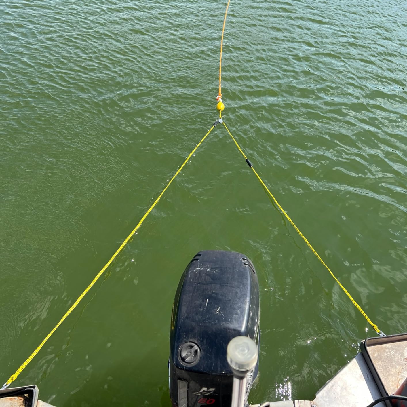 Watersports Heavy Duty Tow harness with D Rings,Boat Tow Harness for Towing Towable Tube, Water Ski, Wakeboard customer photo 1