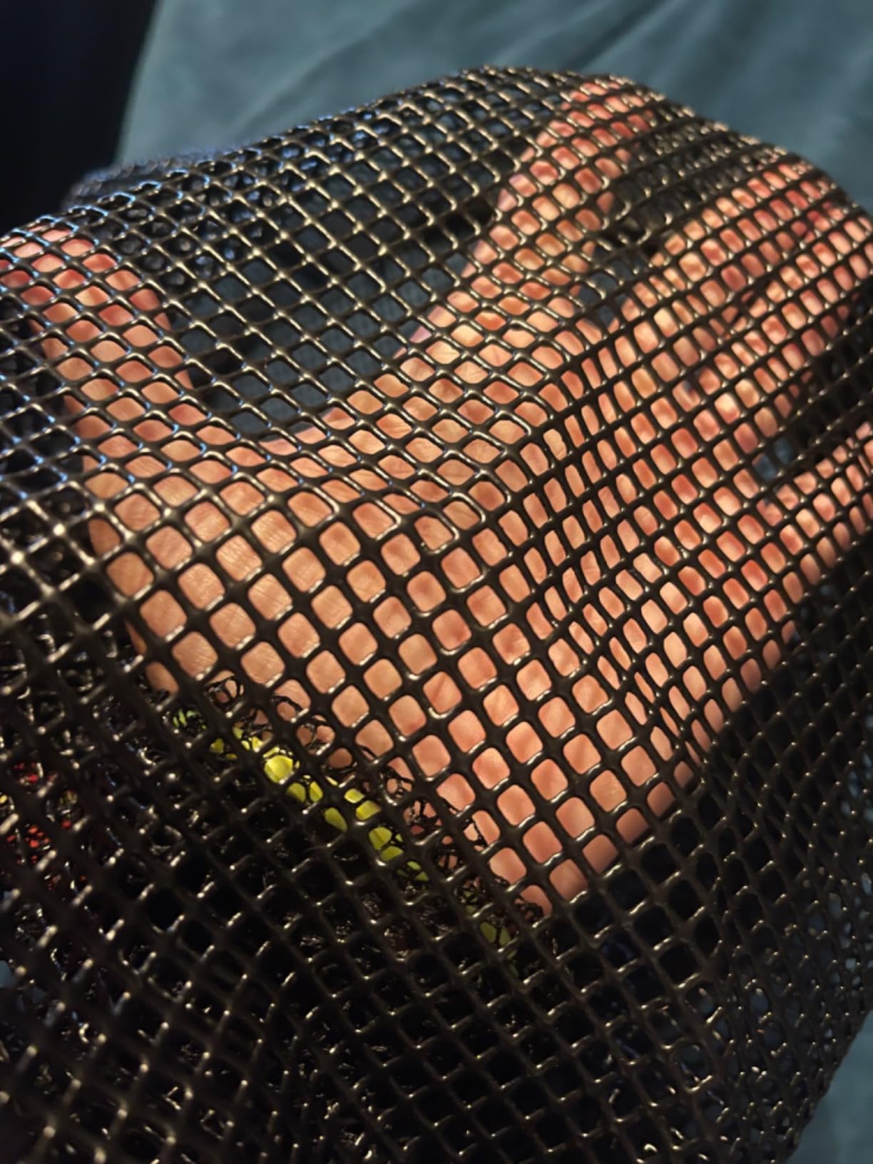 Extra Large Foldable Floating Fishing Basket for Live Caught Fish, Heavy Duty Coated Mesh Bait Pen, Collapsible Mesh Fishing Basket customer photo 1