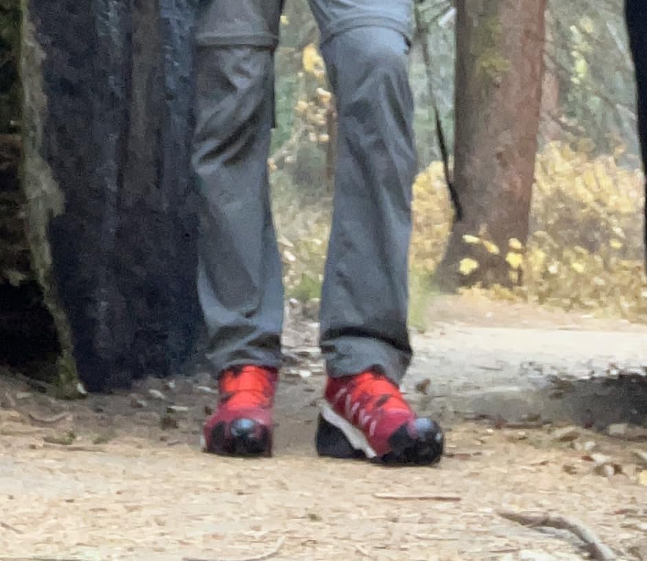 Salomon Men's Speedcross GTX Waterproof Trail Running Shoes customer photo 1