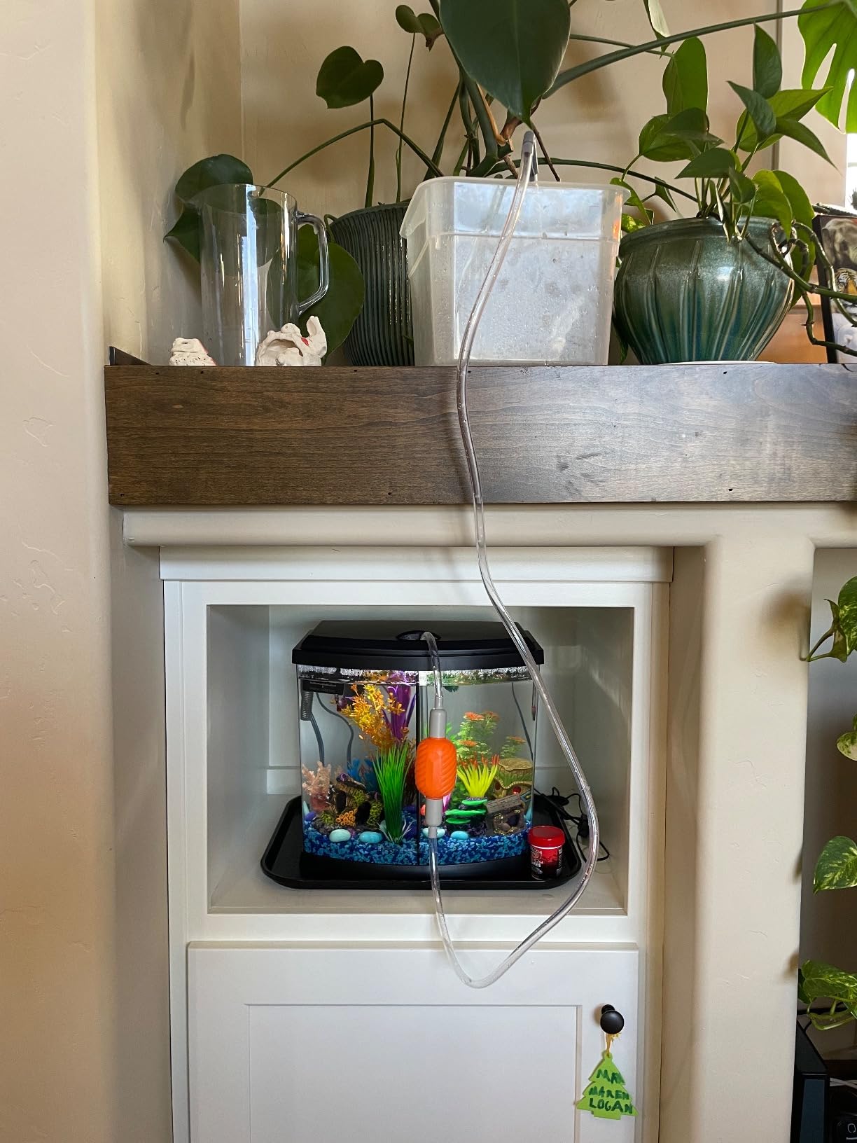 AQQA Compact Aquarium Siphon Vacuum and Water Changer Kit with Cleaning Brush for Small Fish Tanks customer photo 2