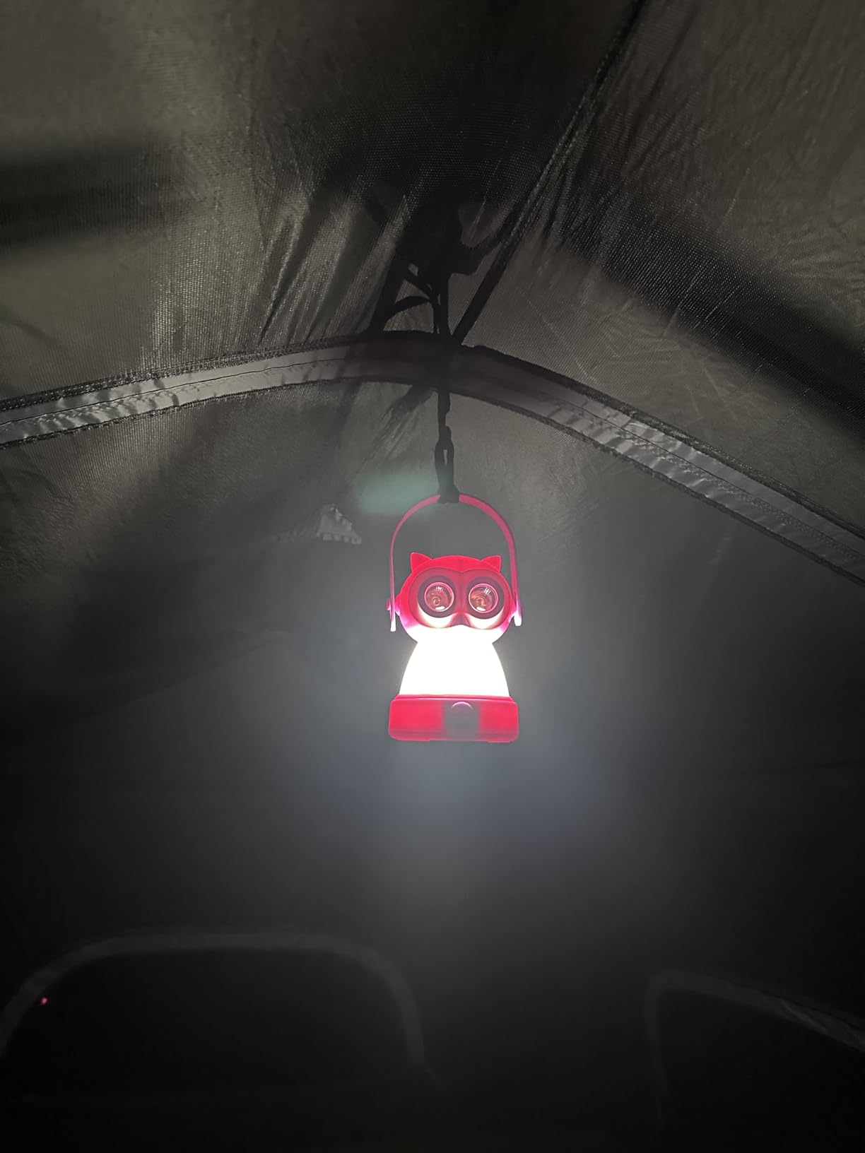 Headlamp for Kids, Battery Powered LED Headlamps, Owl Frog Giraff Dog Fox Raccoon Theme Gift for Children's Day, Birthday, Toddlers - 6 PCS customer photo 2