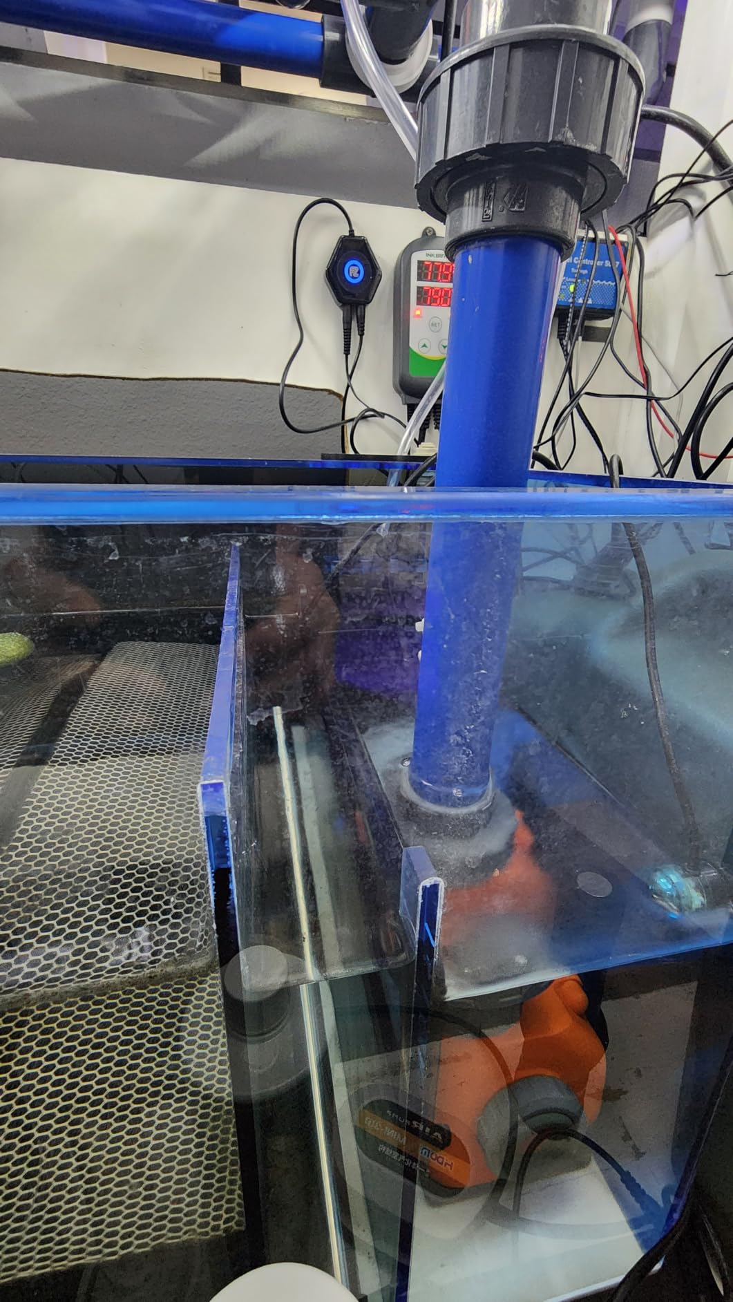 FZONE Aquarium ATO with Controller, QST2.0 Auto Top Off System for Saltwater Aquarium & Freshwater Aquarium customer photo 1
