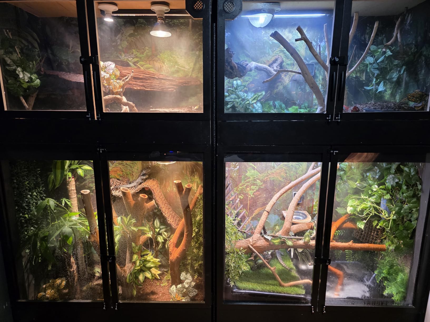 Automatic Reptile Mister System, Misting System with Timer, Reptile Humidifiers Quiet Pump Expandable to 10 Fine Mist Nozzles, Terrarium Mister with Programmable Timer Accurate to The Second customer photo 1