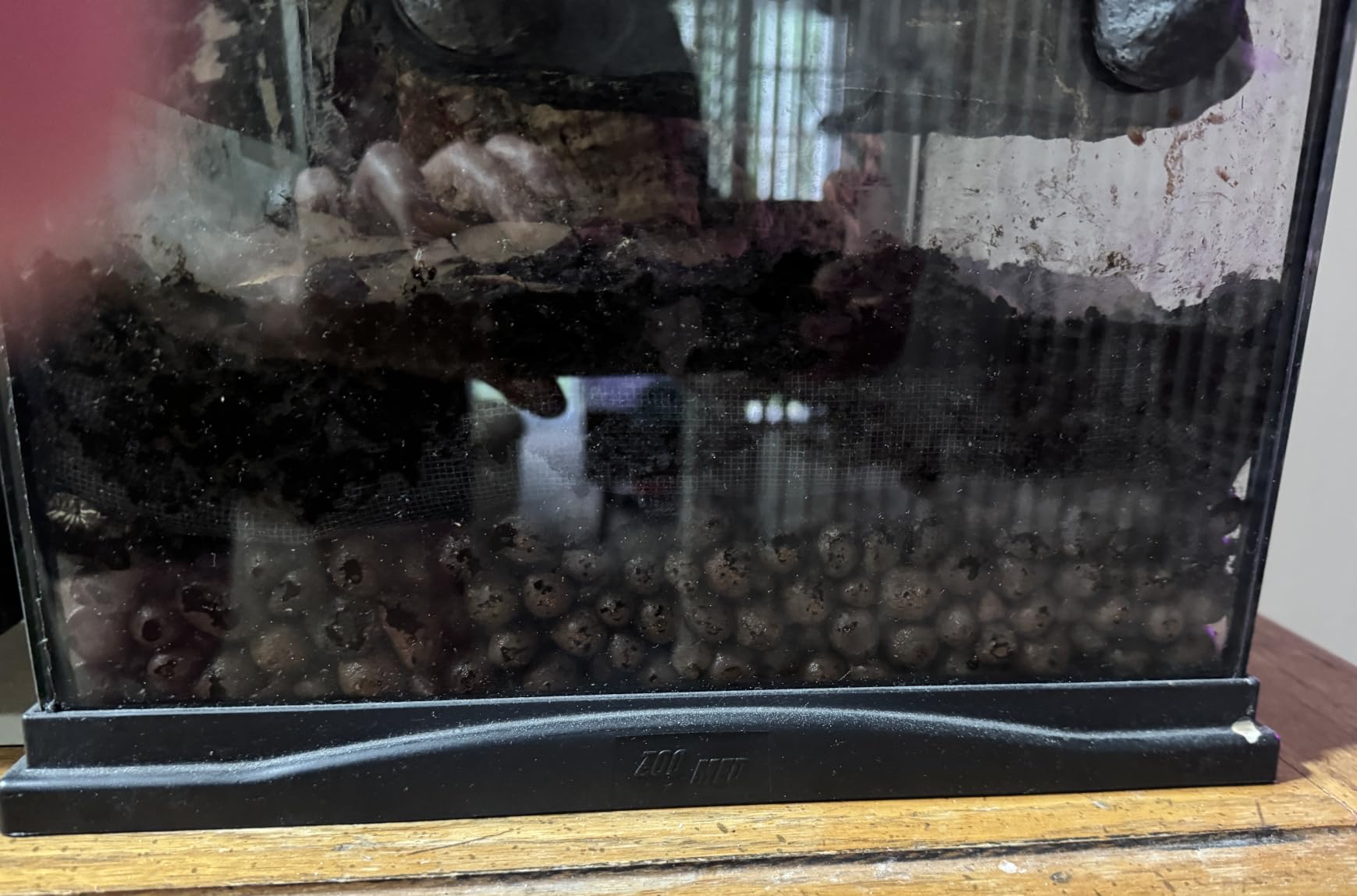 Riare 10LBS Expanded Clay Balls Terrarium Substrate for Reptiles - 100% Organic Lightweight Clay Pebbles Substrate Frogs False Bottom Substrate, Bioactive Terrarium Substrate for Drainage and Moisture customer photo 2