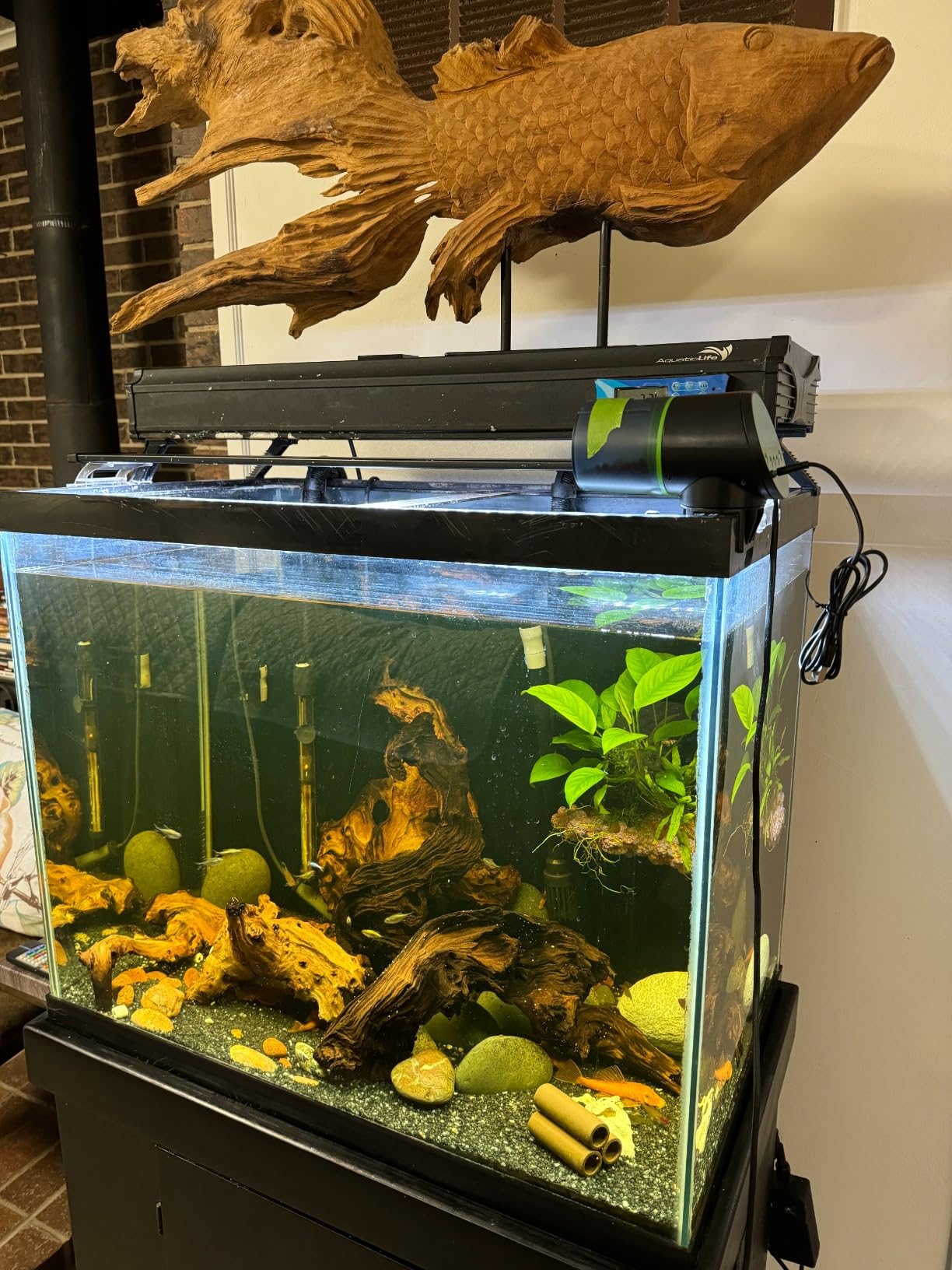 Automatic Fish Feeder for Aquarium - Auto Fish Food Dispenser Rechargeable for Small Large Tank with USB Charger Cable, 12/24/48H Interval Easy Set Up (Black, CY-019) customer photo 1