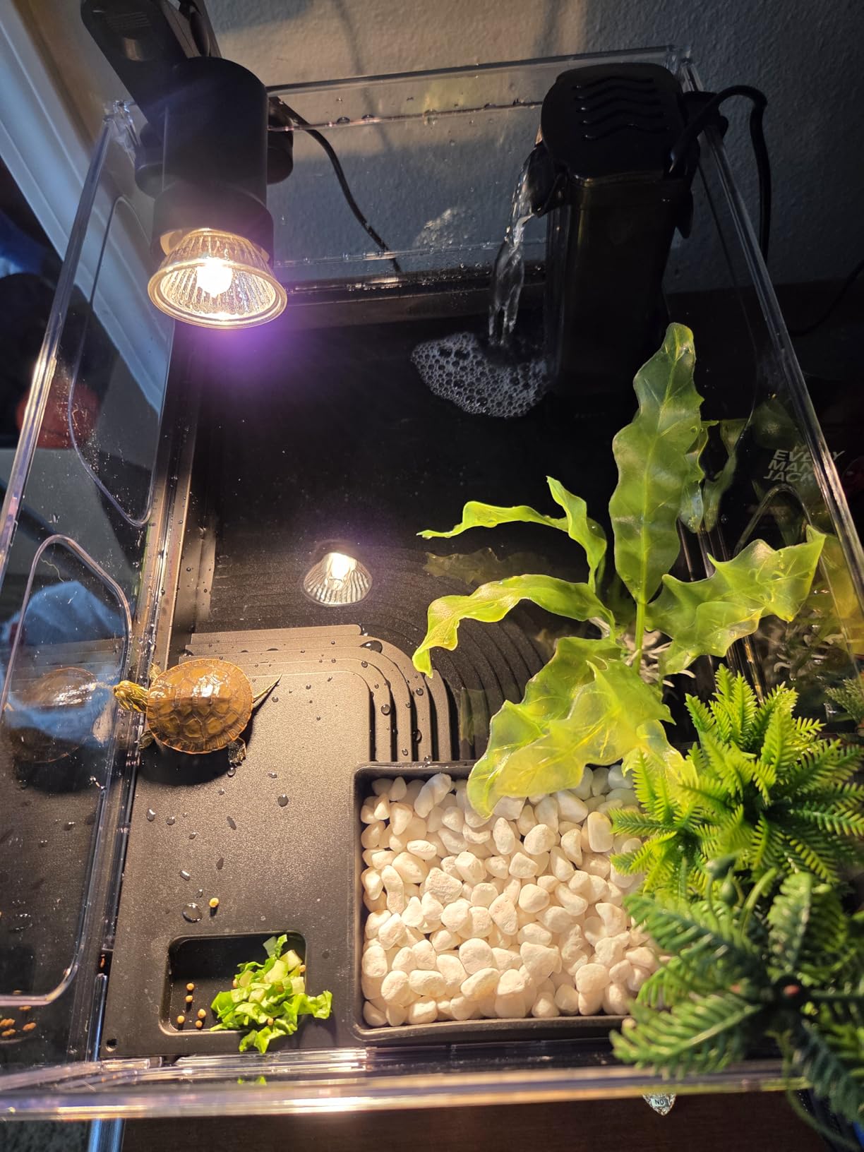 MoonOrange Small Turtle Tank Kit, Acrylic Turtle Tank Starter Kit with Basking Platform, Bottom Drainage, Multi-Function Areas for Turtles, Crabs, Crayfish, Small Reptiles (Black Kit) customer photo 1