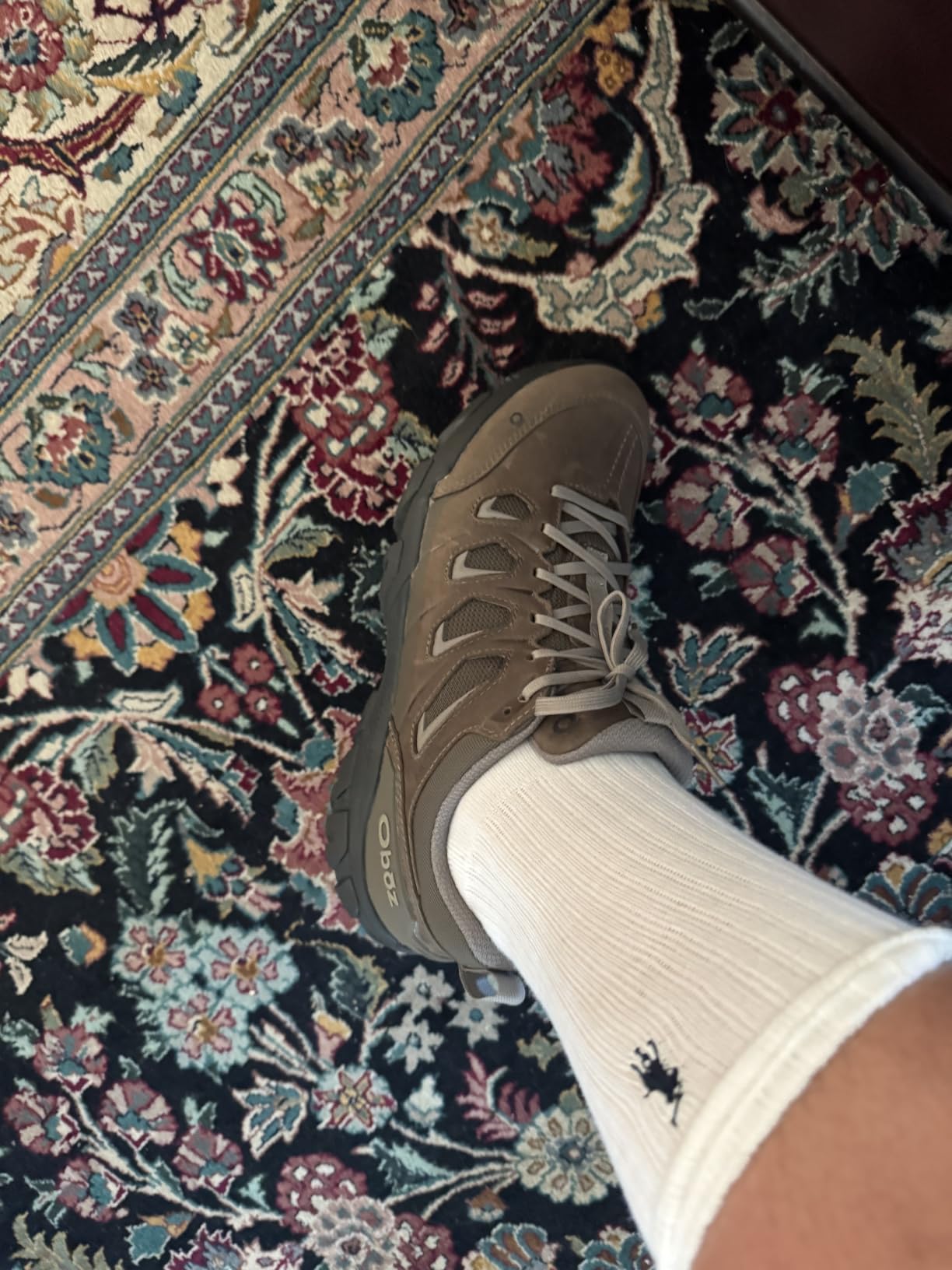 Oboz Men's Sawtooth X Low B-Dry Hiking Shoes customer photo 1