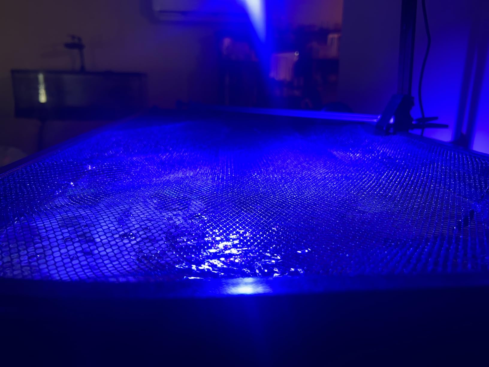 Magnetic Fish Tank Lid, Mesh Aquarium Cover, Fits Tanks Up to 37 x 18 in | Custom Fit Design, Tear-Resistant PET Mesh, Easy Feeding Access customer photo 1