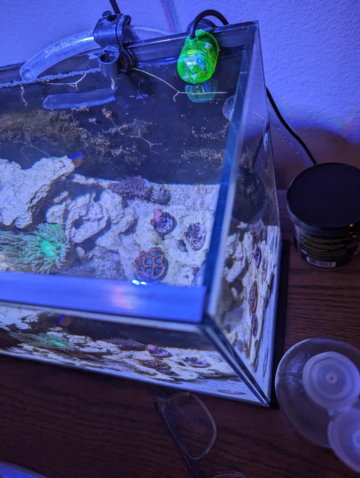 Magnetic Fish Tank Lid, Mesh Aquarium Cover, Fits Tanks Up to 37 x 18 in | Custom Fit Design, Tear-Resistant PET Mesh, Easy Feeding Access customer photo 2