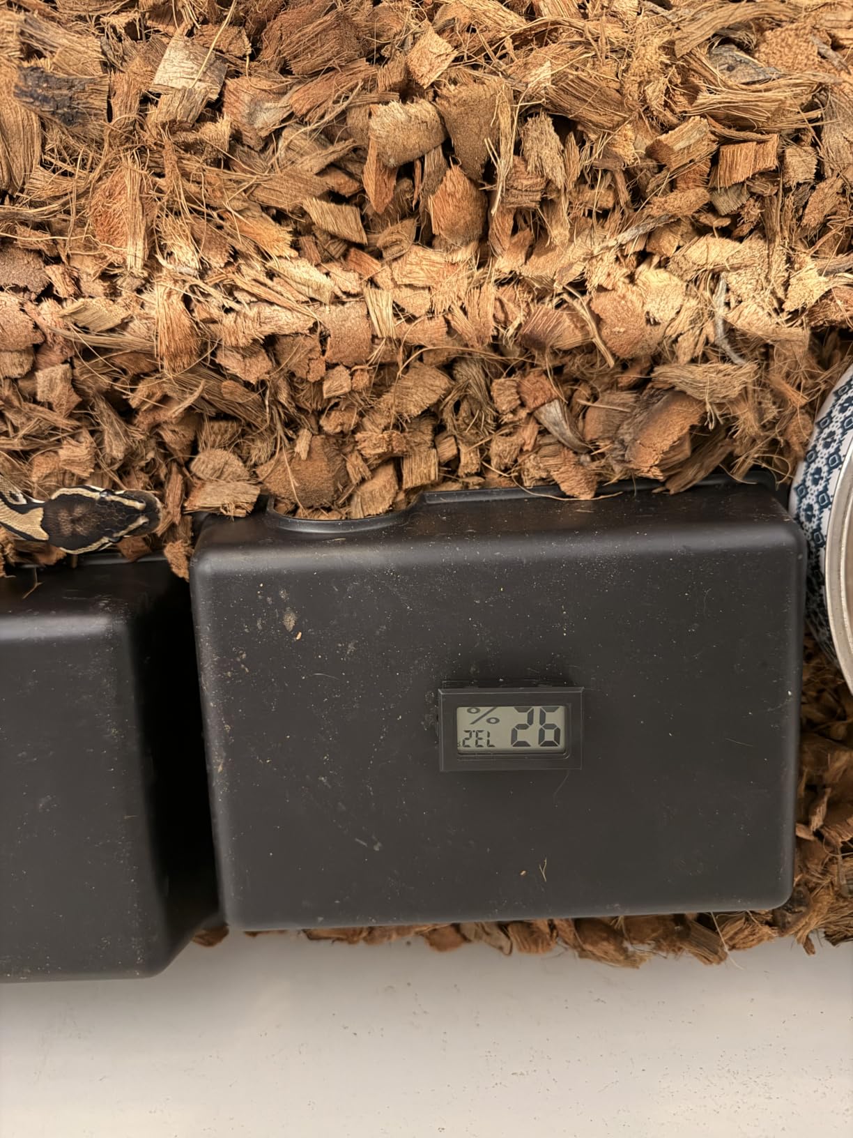 Reptile Thermometer and Humidity Gauge, 2PCS Digital Hygrometer Adhesive Reptile Terrarium Hydrometer, Bearded Dragon Tank Accessories, Pet Humidity Meter Supplies for Leopard Crested Gecko, Snake, Lizard customer photo 1