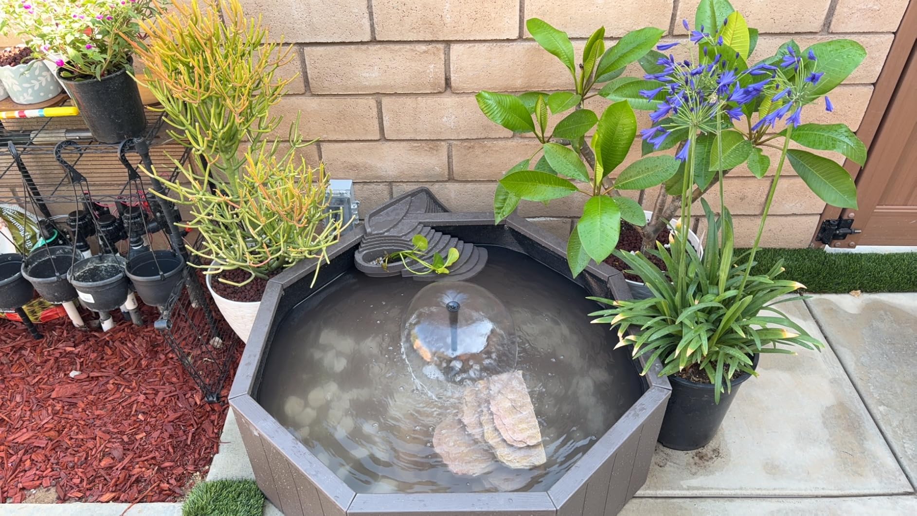 Aquagarden No Dig Nature Pool, Complete Water Feature Kit, Attract Birds and Wildlife to Your Yard, Includes Pond Structure, Liner, Fountain Pump, Nature Ladder, Planting Pocket customer photo 1