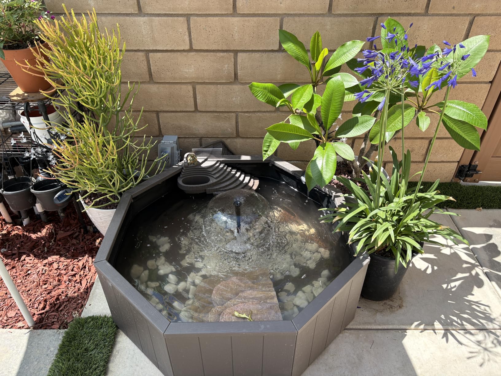 Aquagarden No Dig Nature Pool, Complete Water Feature Kit, Attract Birds and Wildlife to Your Yard, Includes Pond Structure, Liner, Fountain Pump, Nature Ladder, Planting Pocket customer photo 2