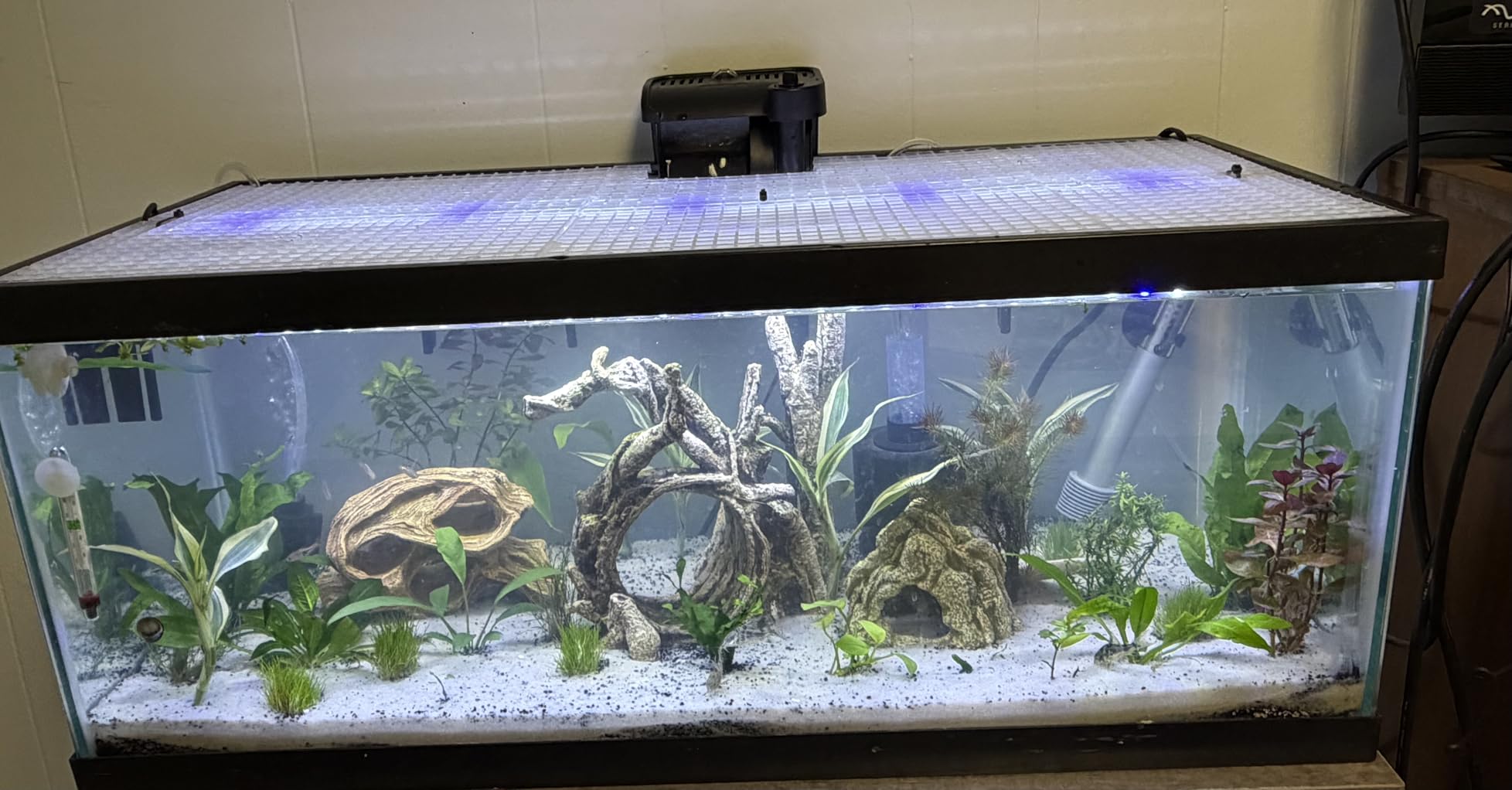 4 Aquarium Lid Hood Fish Tank Top Cover Terrarium Lid Plastic Grid Panel Egg Crate Grate 6 Aquarium Glass Cover Board Clip customer photo 2