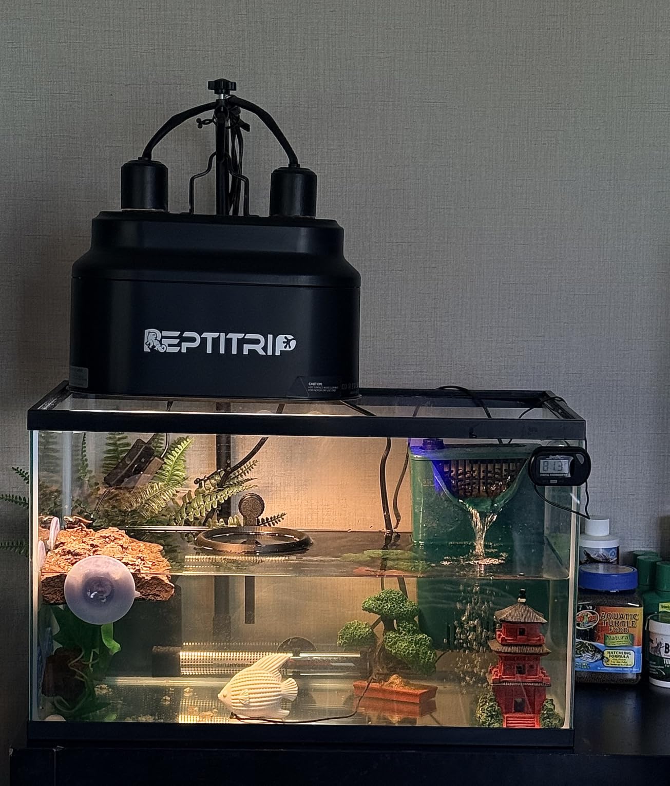Turtle Basking Platform, Fish Tank Aquarium Tortoise Climbing Platform with 3 Suction Cups, Baby Tortoise Resting Terrace, Climbing Ramp Shale Reptiles Dock for Terrapins, Frogs customer photo 2