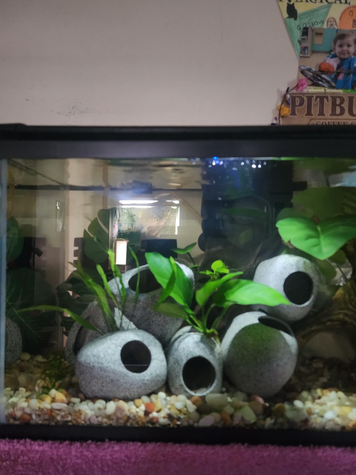 Eorbow 6 Pack Aquarium Decoration Rock Caves, Betta Fish Tank Hideaway, Hideout Stones House Decor for Cichlid Shrimp Territorial Fish Hiding Breeding Spawning, Fish Tank Ornaments customer photo 1