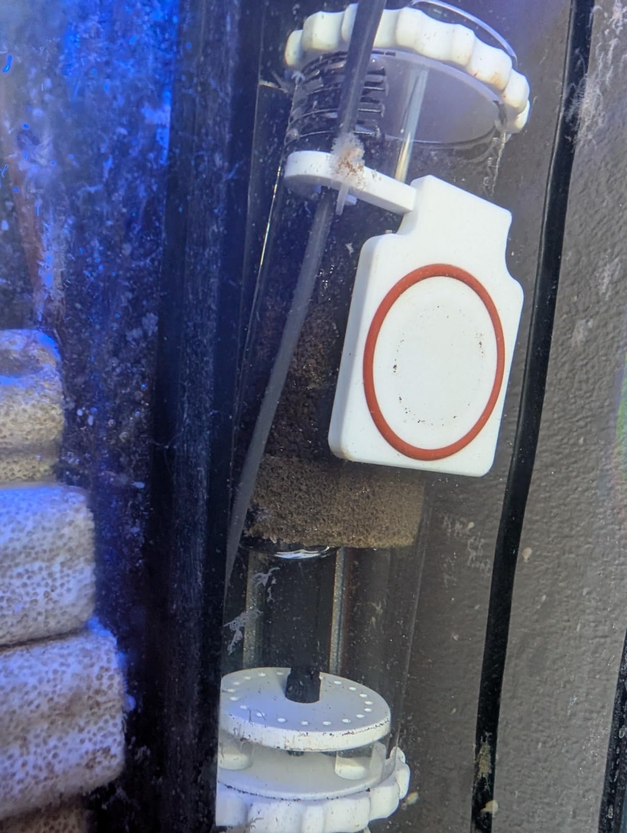 AquaReady in Tank Media Reactor for Saltwater and Freshwater Aquarium Filtration, Includes Adjustable Pump, Efficient Up-Flow Design, Low Profile Magnetic Mount customer photo 2