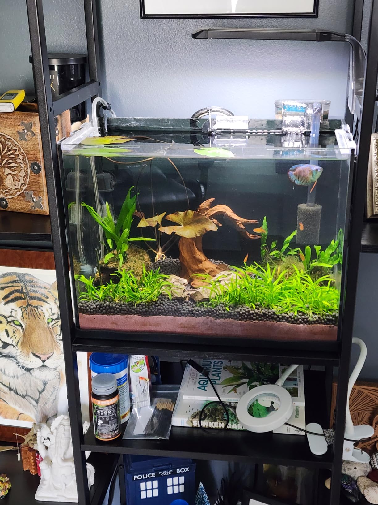 FZONE Driftwood for Aquarium Resin Model pH Neutral Aquarium Rocks for Aquascaping, Hardscape customer photo 1